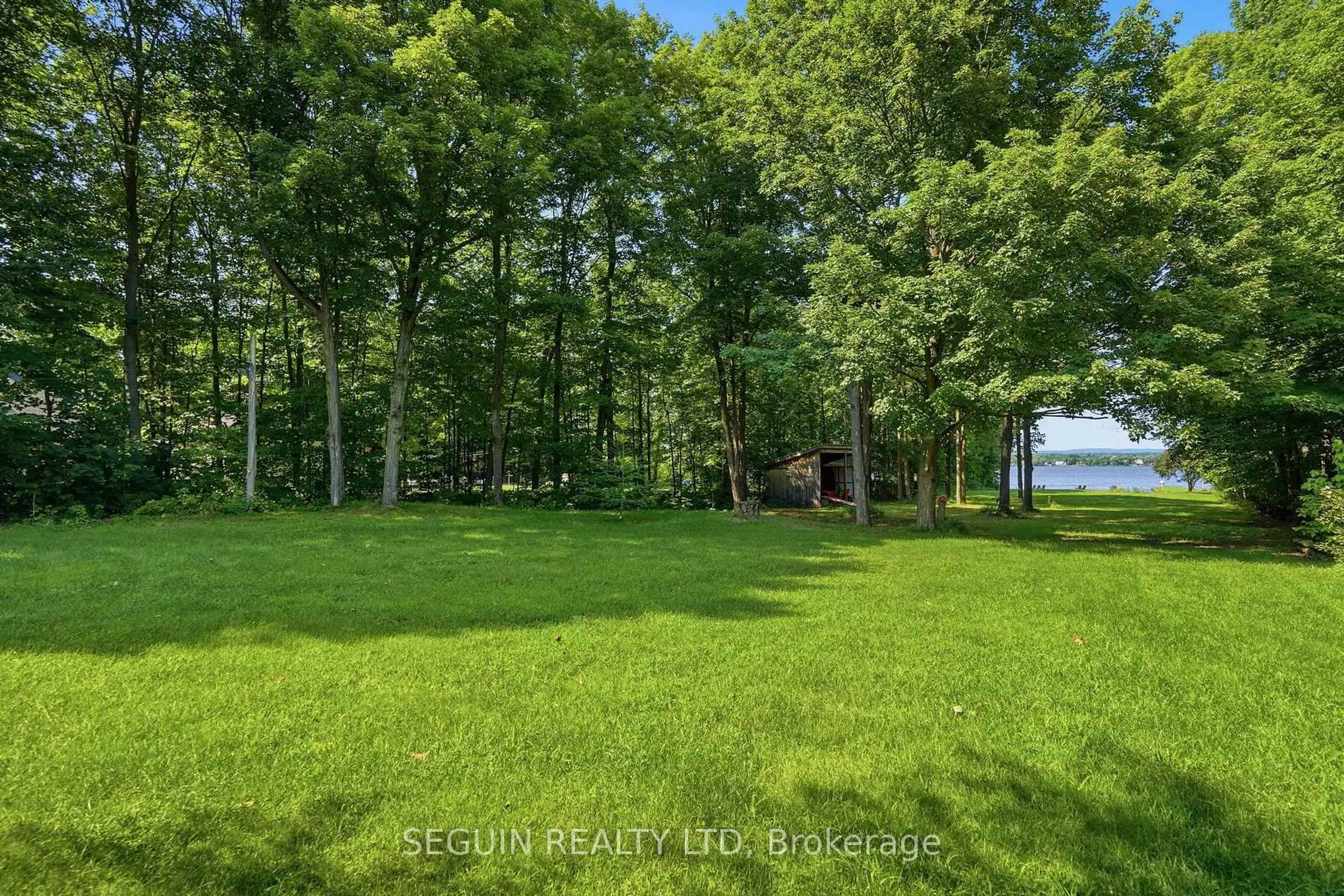 A pic from outside/outdoor area/front of a property/back of a property/a pic from drone, forest/trees view for 2865 Front Rd, East Hawkesbury Ontario K6A 2R2