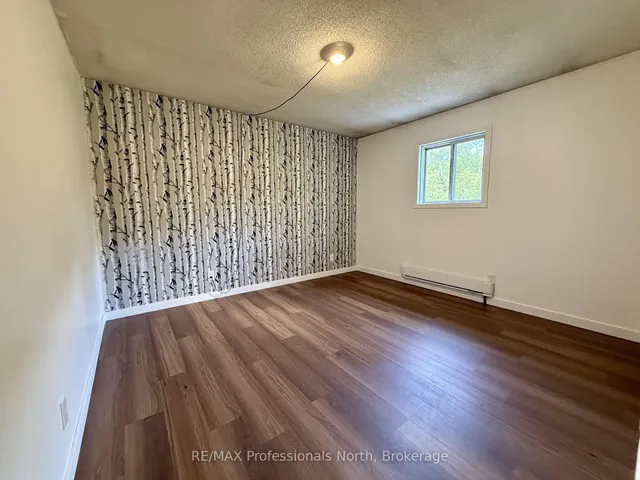 1125 Fairy Falls Rd, Lake of Bays 5