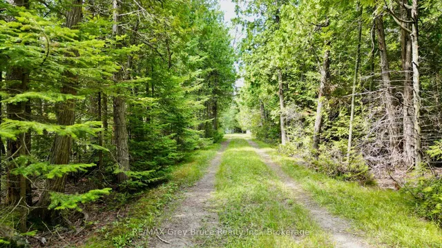 123 Fowlie Rd, Northern Bruce Peninsula 5