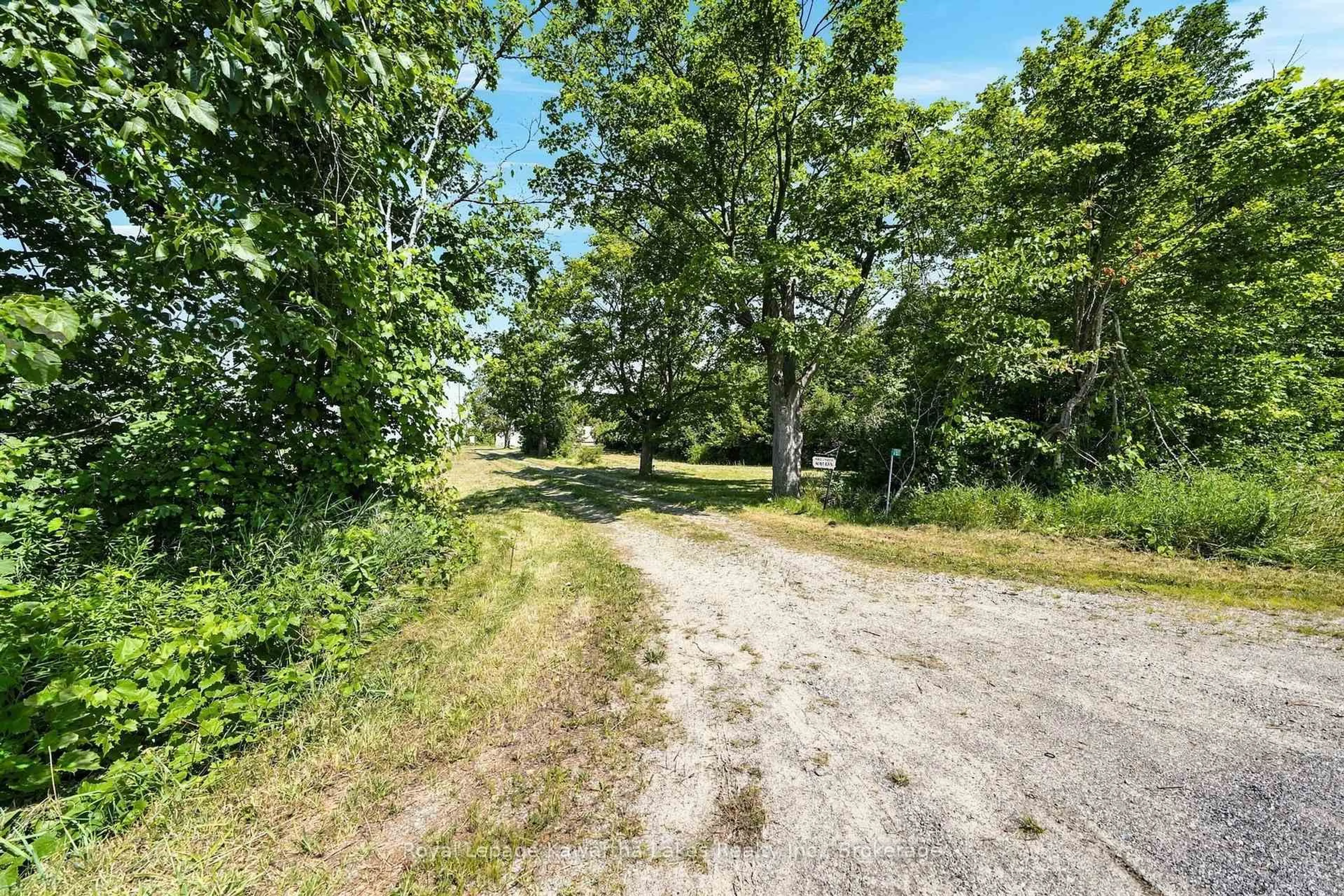 A pic from outside/outdoor area/front of a property/back of a property/a pic from drone, forest/trees view for 289 Somerville 3rd Crt, Kawartha Lakes Ontario K0M 1N0