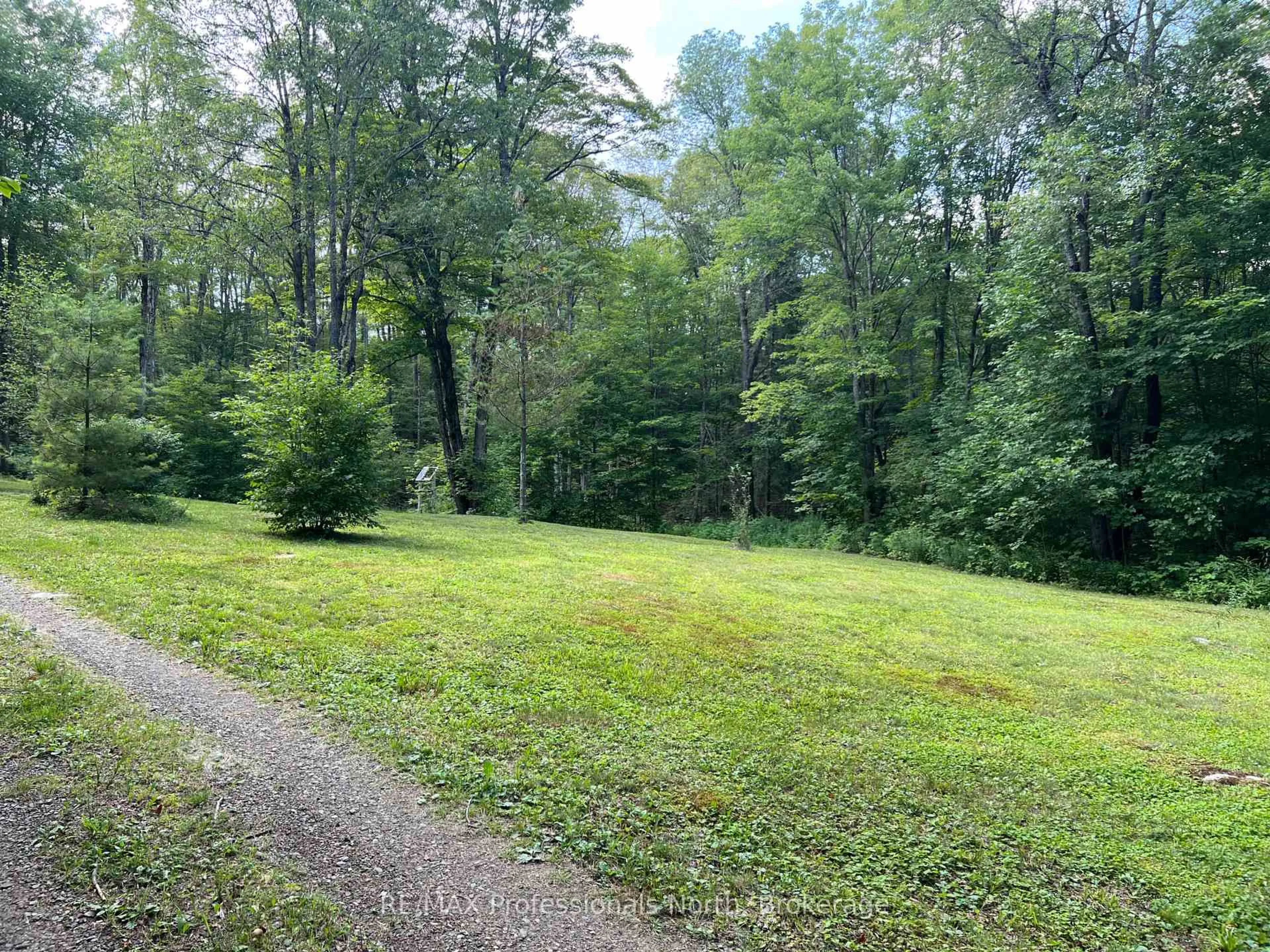 A pic from outside/outdoor area/front of a property/back of a property/a pic from drone, forest/trees view for LOT 9 Concession 3, Perry Ontario P0A 1R0