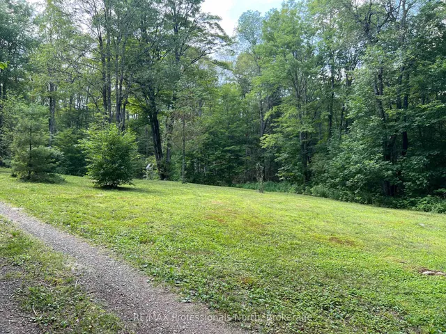 LOT 9 Concession 3, Perry 4