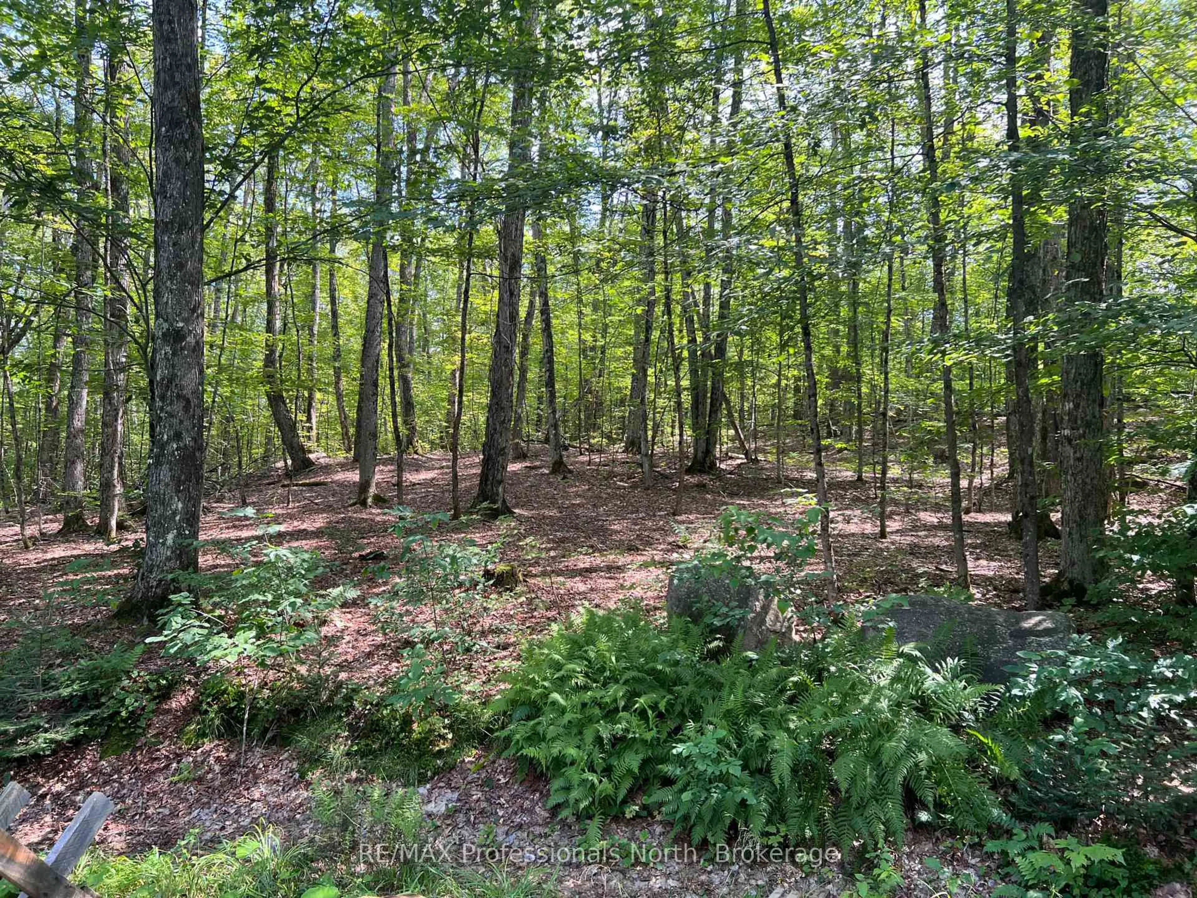A pic from outside/outdoor area/front of a property/back of a property/a pic from drone, forest/trees view for LOT 9 Concession 3, Perry Ontario P0A 1R0