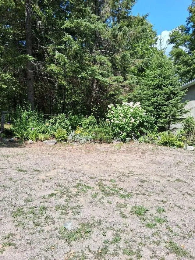 175 Old Man's Lake Lane, Magnetawan 3