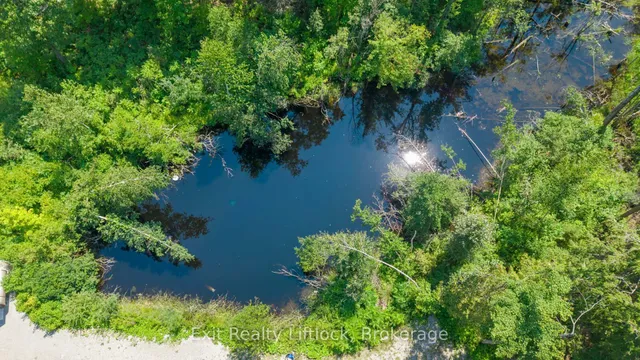 4006 County Rd 36, Trent Lakes 5