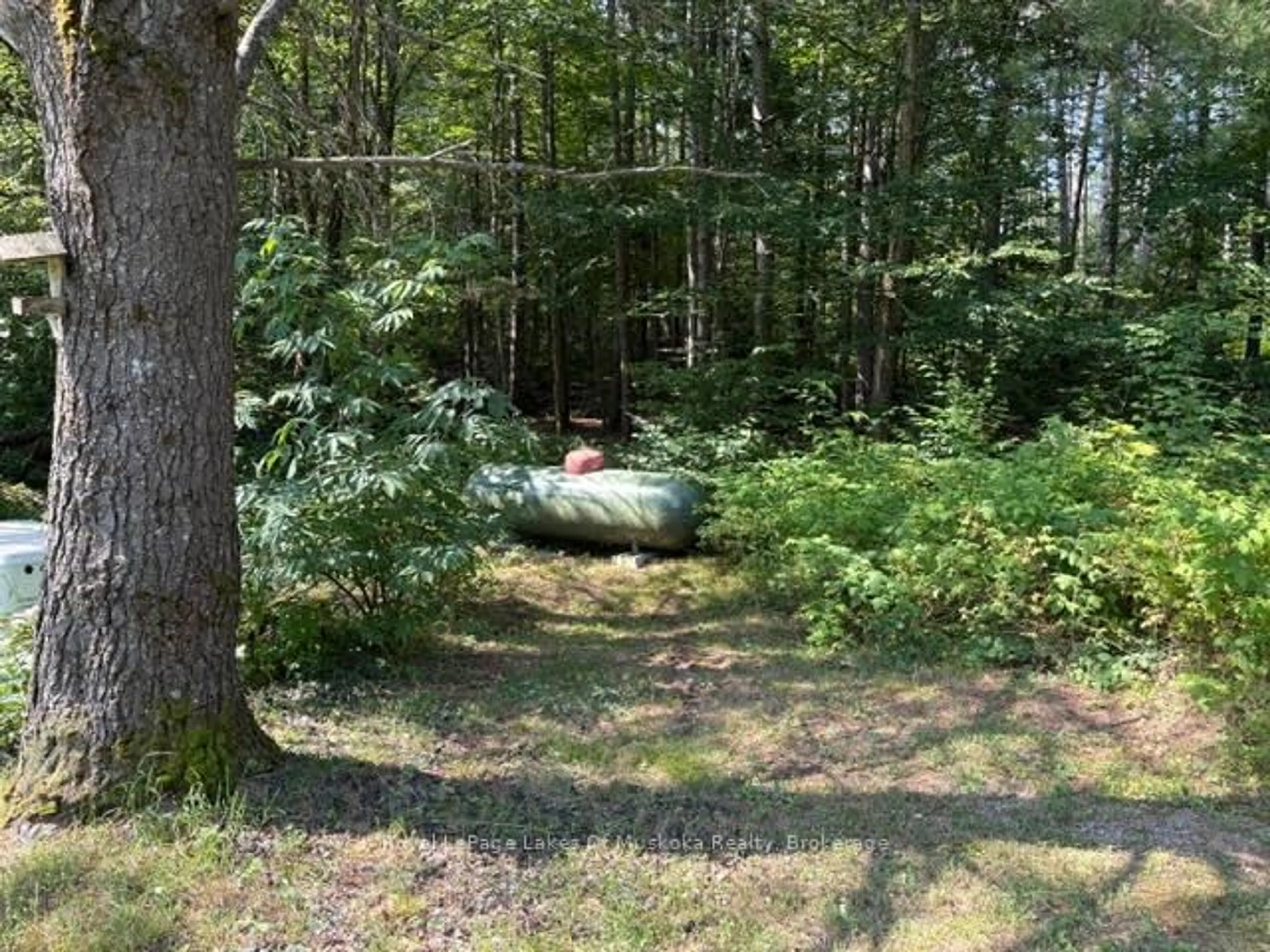 Unknown for 2551 Yearley Rd, Huntsville Ontario P0B 1L0