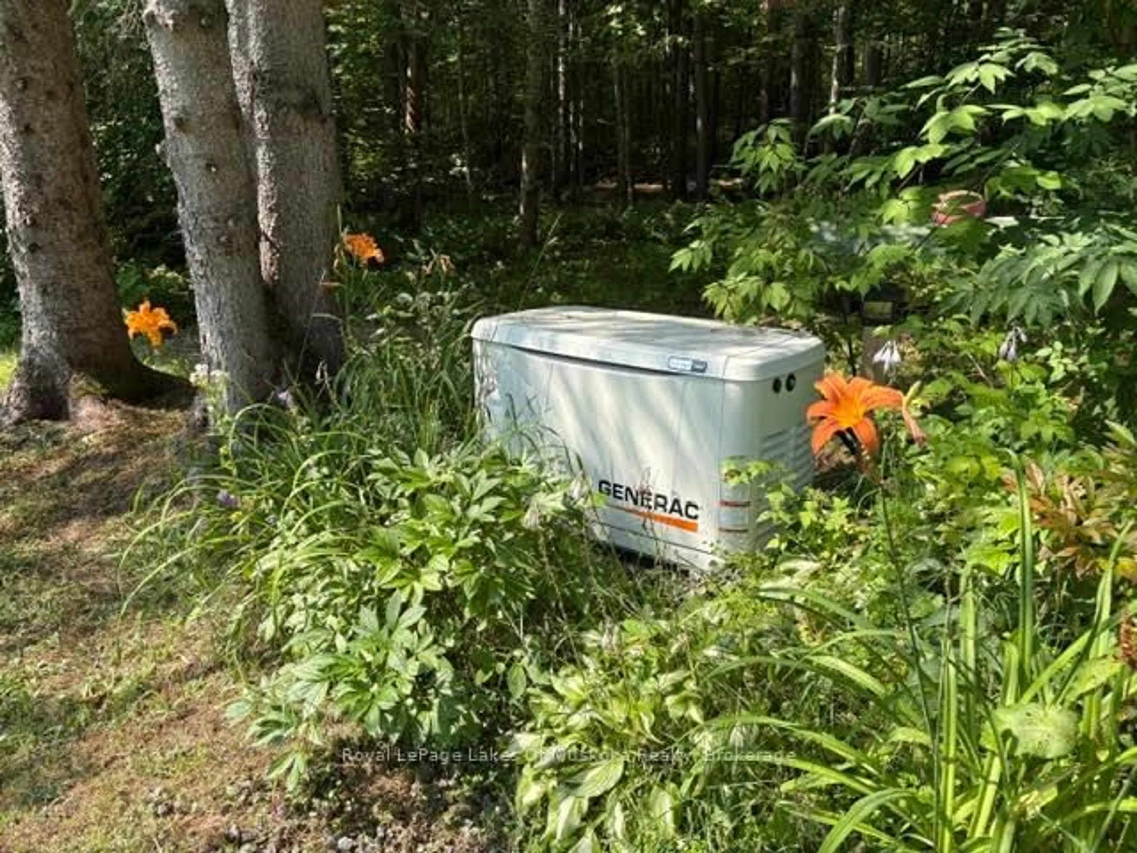 Shed for 2551 Yearley Rd, Huntsville Ontario P0B 1L0