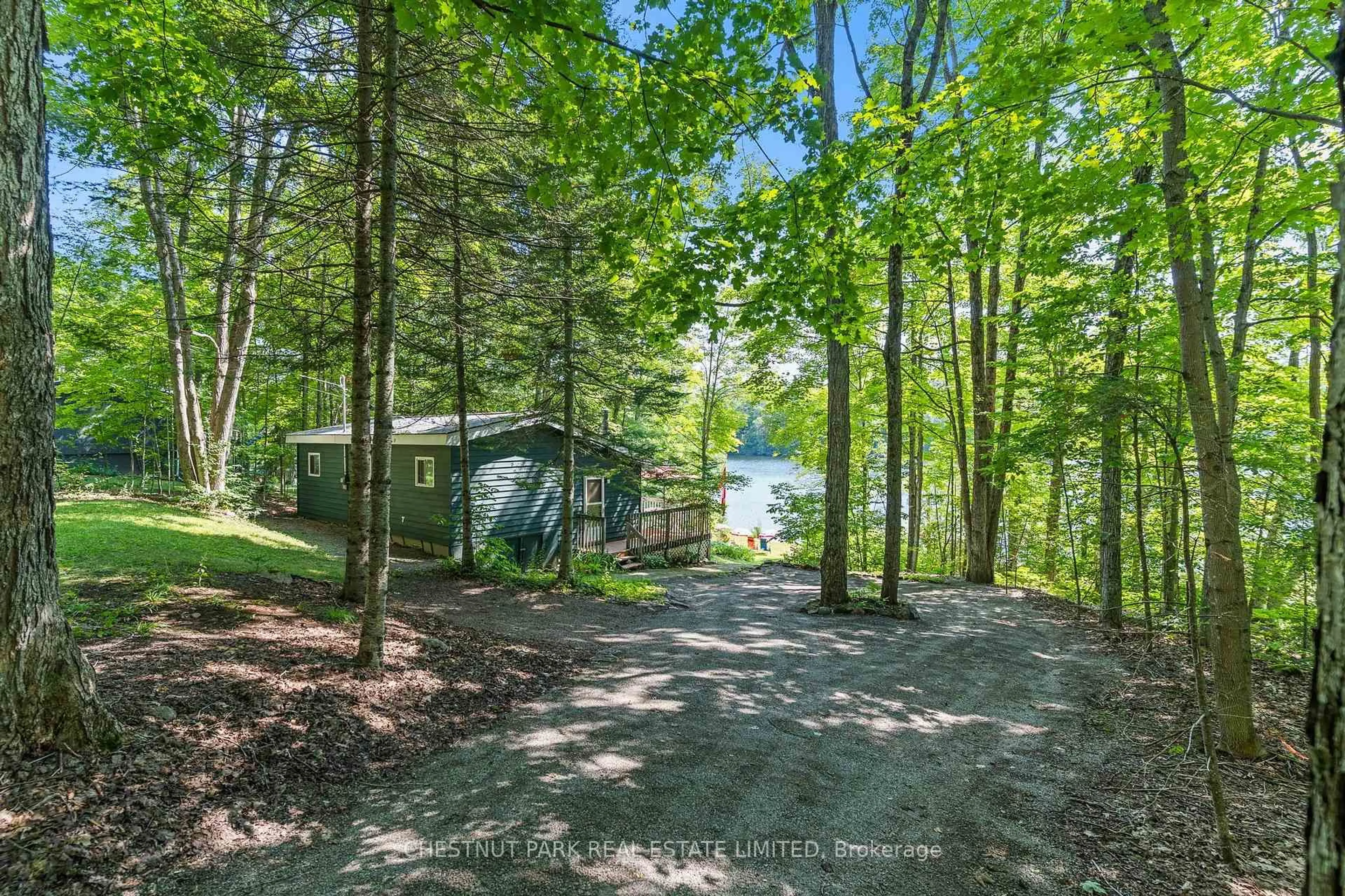 A pic from outside/outdoor area/front of a property/back of a property/a pic from drone, forest/trees view for 1184 Little Bob Lake Rd, Minden Hills Ontario K0M 2S0