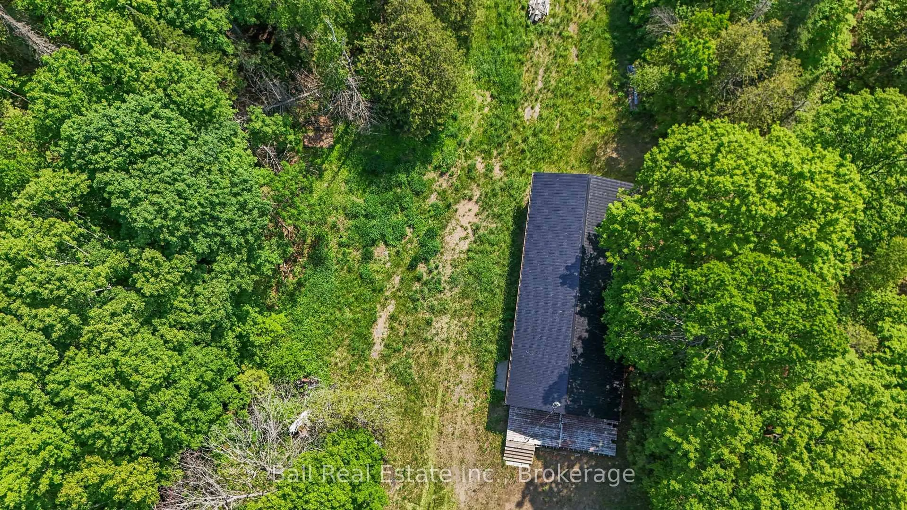 A pic from outside/outdoor area/front of a property/back of a property/a pic from drone, forest/trees view for 18261 Highway 62 Highway, Madoc Ontario K0K 1Y0