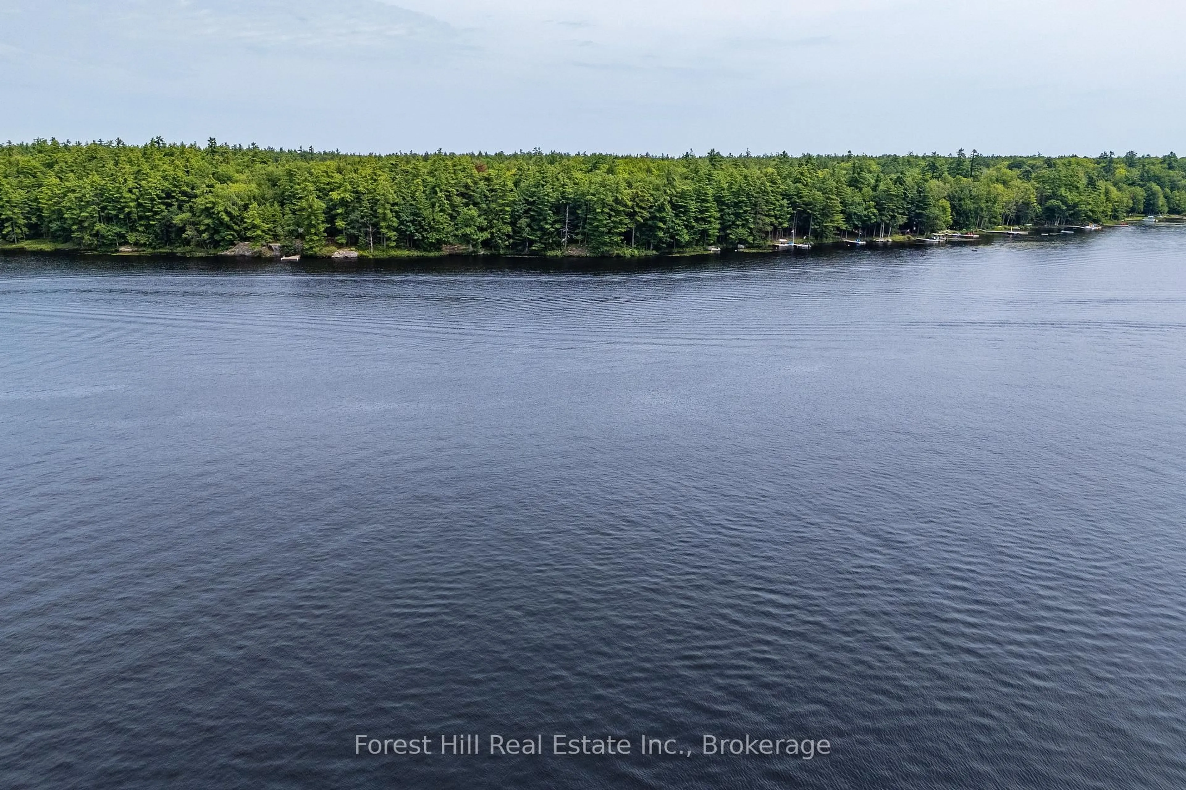 A pic from outside/outdoor area/front of a property/back of a property/a pic from drone, water/lake/river/ocean view for 1048 West Black Lake Rd, Muskoka Lakes Ontario P0C 1M0