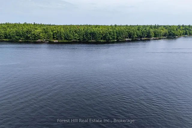 1048 West Black Lake Rd, Muskoka Lakes 4
