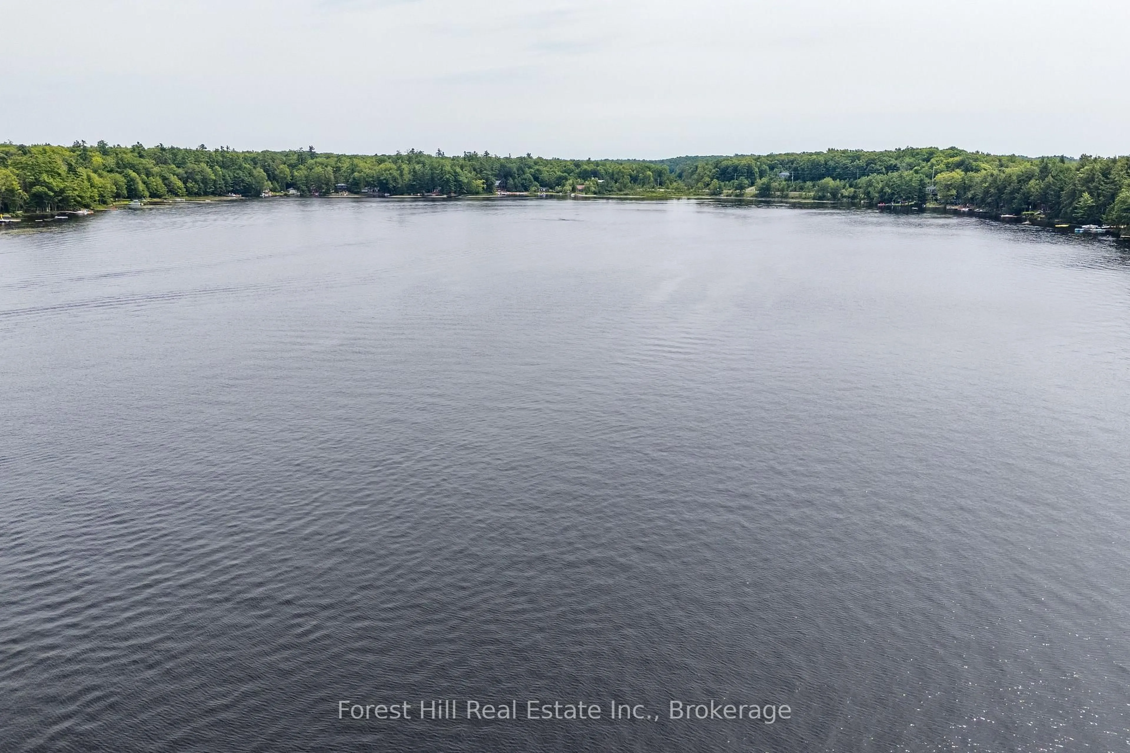 A pic from outside/outdoor area/front of a property/back of a property/a pic from drone, water/lake/river/ocean view for 1048 West Black Lake Rd, Muskoka Lakes Ontario P0C 1M0