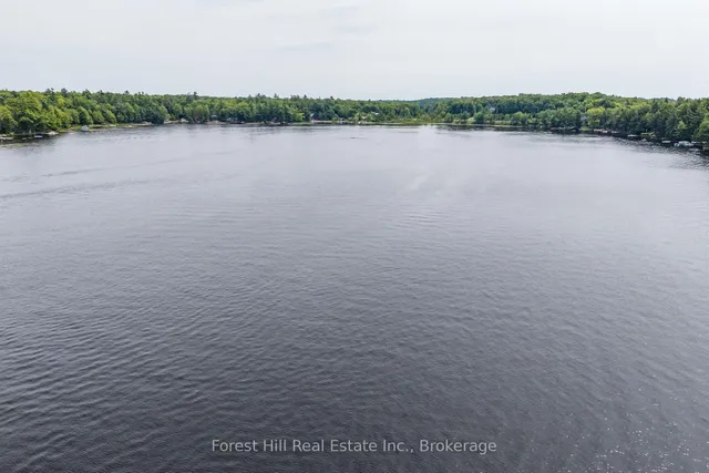 1048 West Black Lake Rd, Muskoka Lakes 5