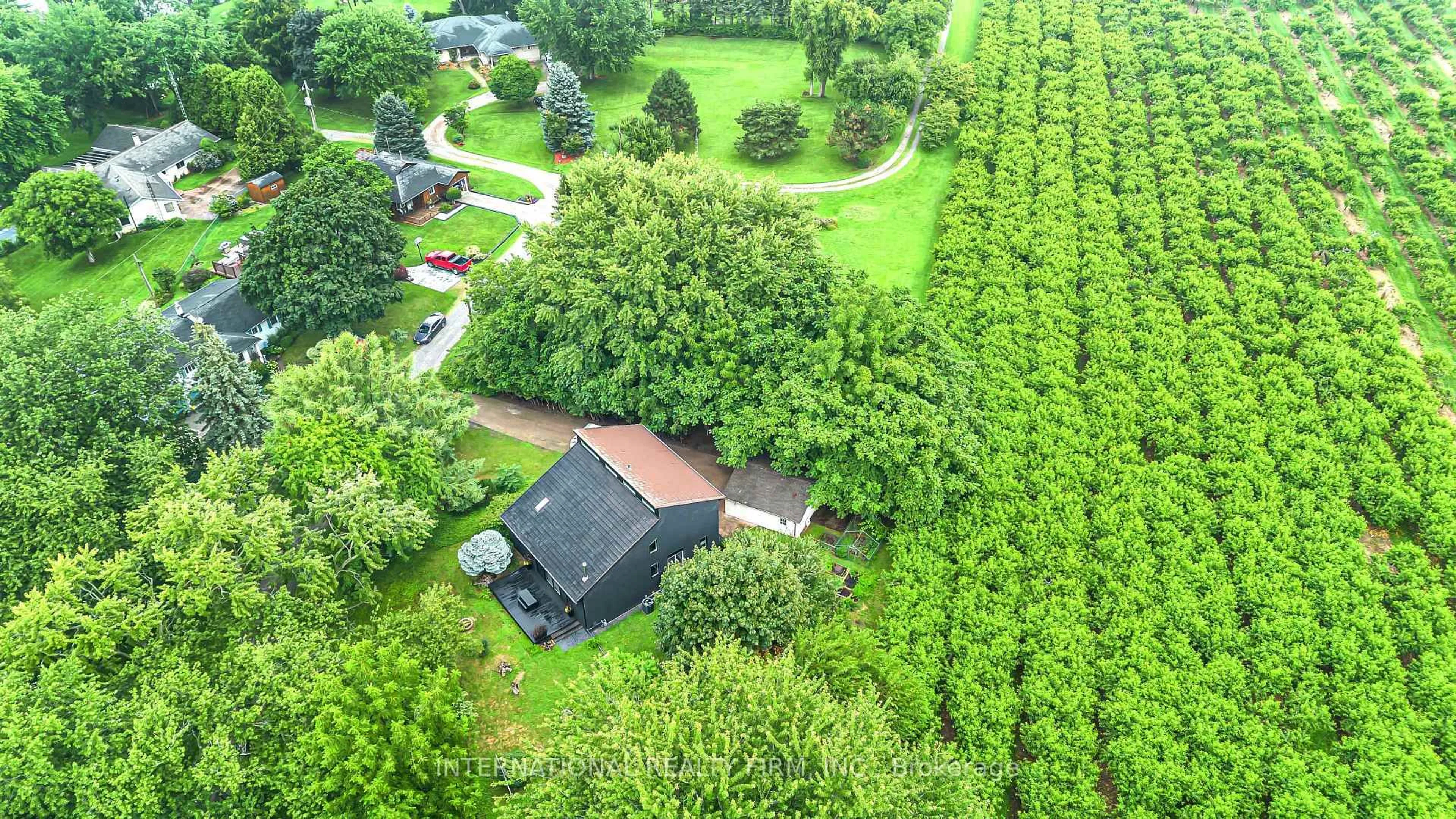 A pic from outside/outdoor area/front of a property/back of a property/a pic from drone, forest/trees view for 5 Firelane 14b Rd, Niagara-on-the-Lake Ontario L0S 1J0