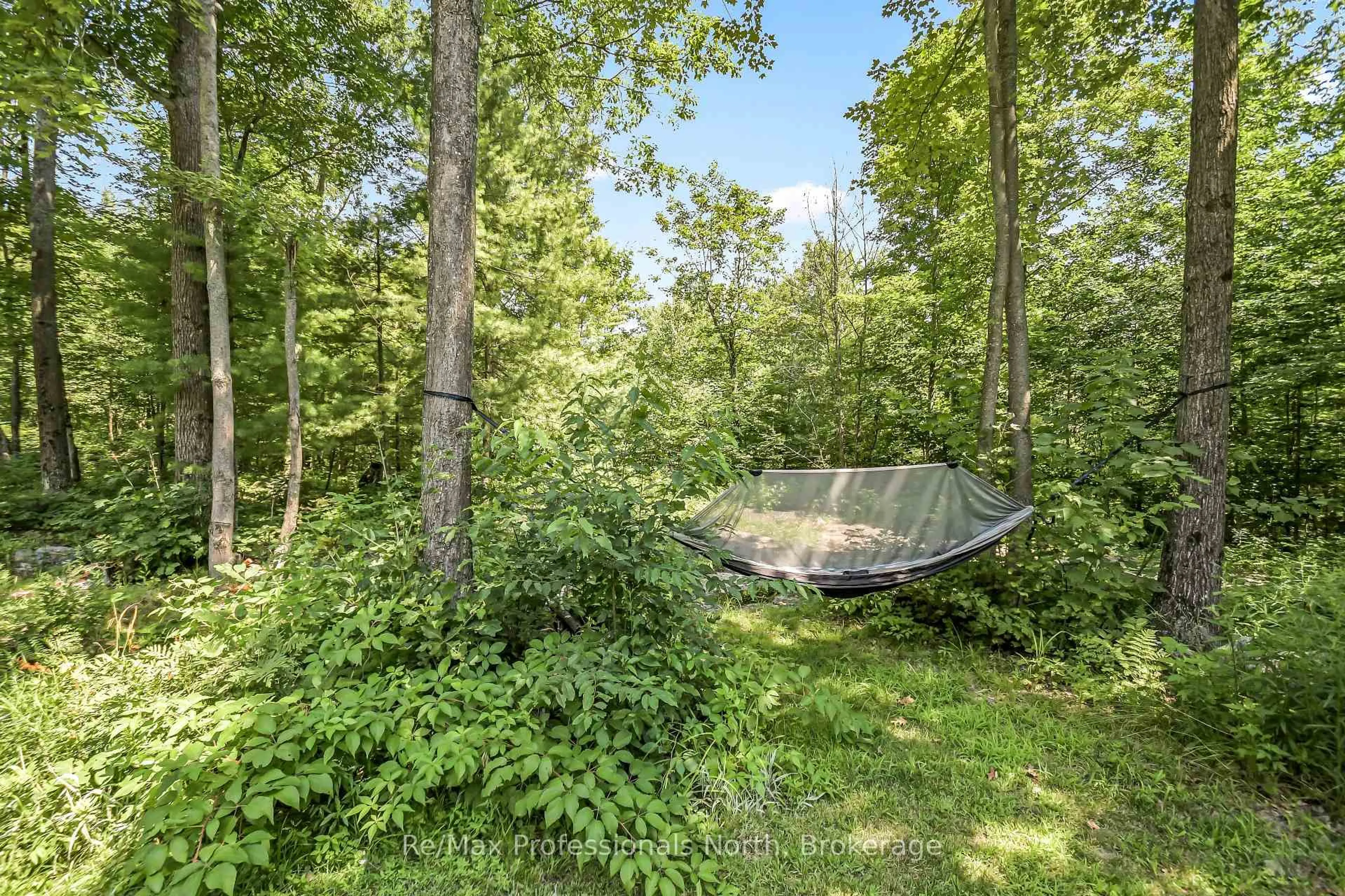 Patio, forest/trees view for 1017 Barlochan Rd, Muskoka Lakes Ontario P1P 1R2