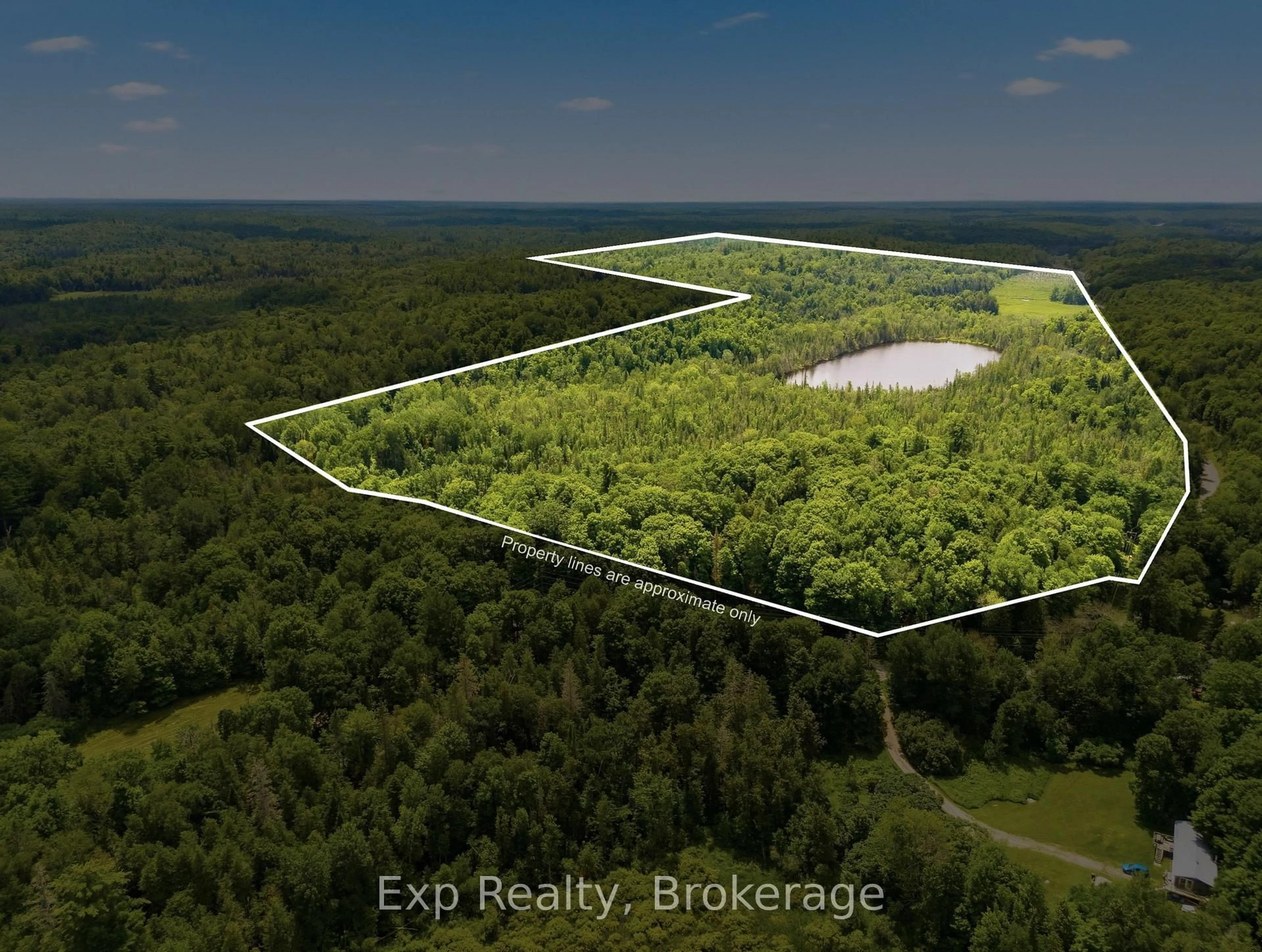 A pic from outside/outdoor area/front of a property/back of a property/a pic from drone, forest/trees view for 5164 Arden Rd, Arden Ontario K0H 1B0