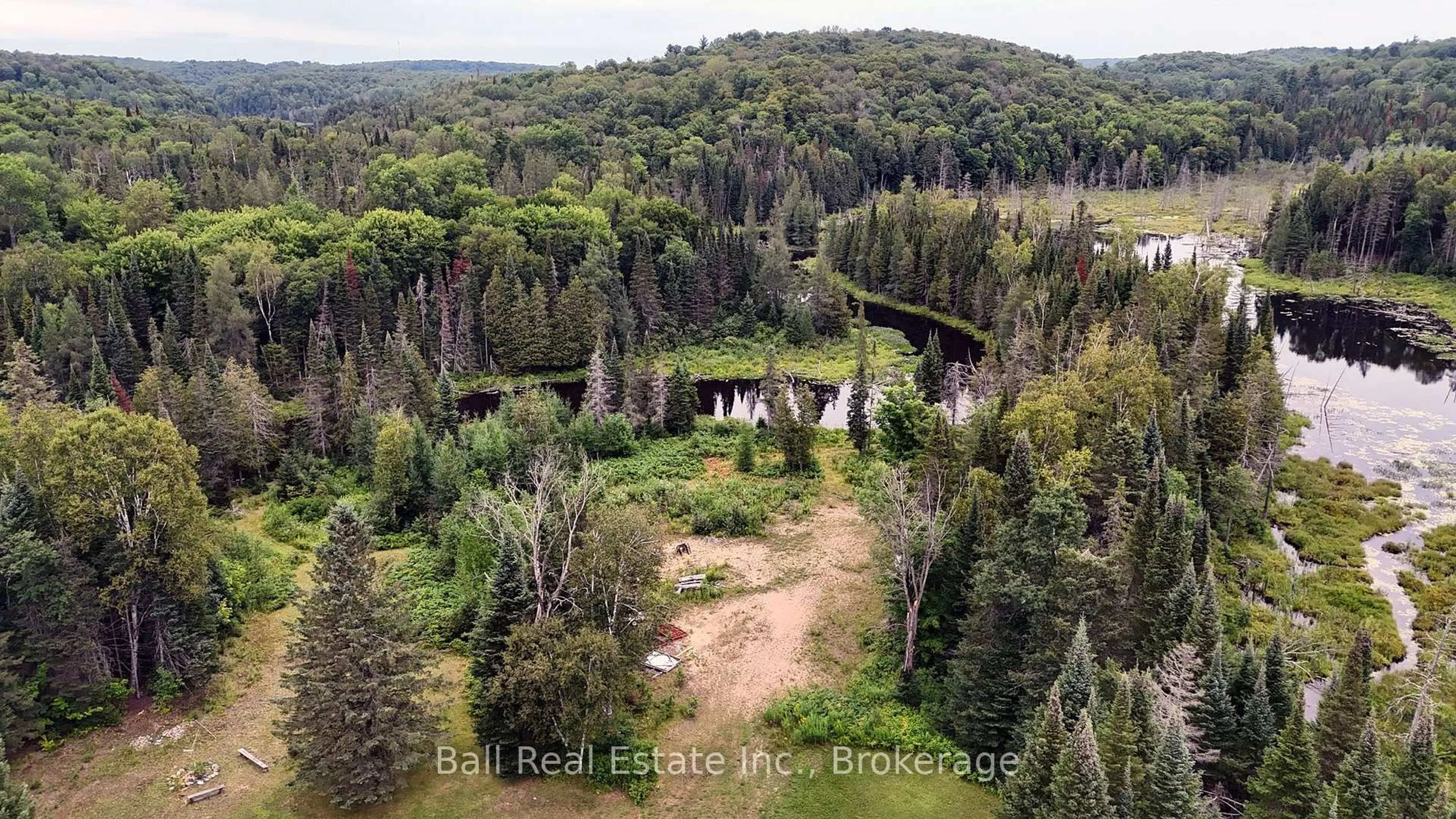 A pic from outside/outdoor area/front of a property/back of a property/a pic from drone, forest/trees view for 19573 Highway #118 Highway, Highlands East Ontario K0L 3C0