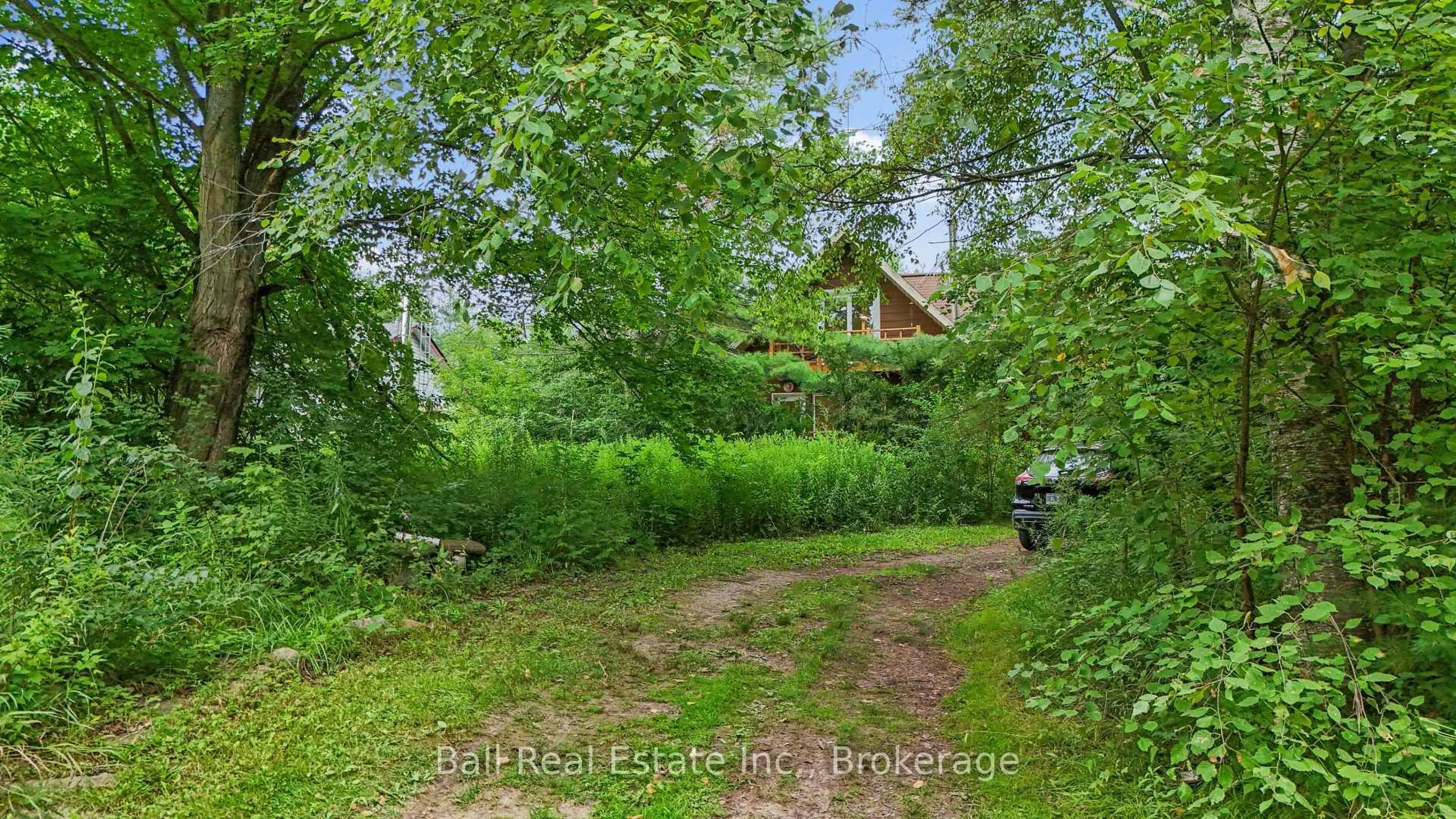 A pic from outside/outdoor area/front of a property/back of a property/a pic from drone, forest/trees view for 939 Seven Oaks Dr, Otonabee-South Monaghan Ontario K0L 1B0