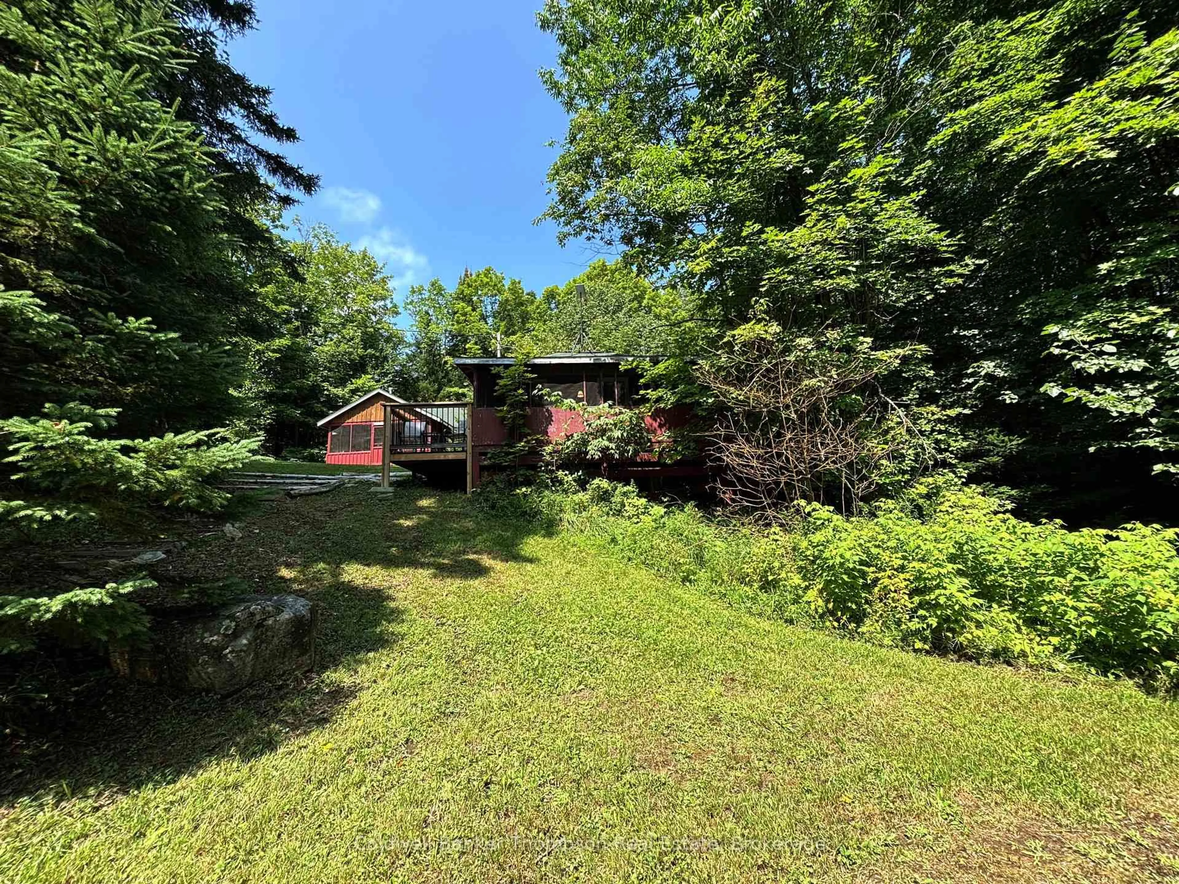 A pic from outside/outdoor area/front of a property/back of a property/a pic from drone, forest/trees view for 1341 Billie Bear Rd, Lake of Bays Ontario P1H 2J6