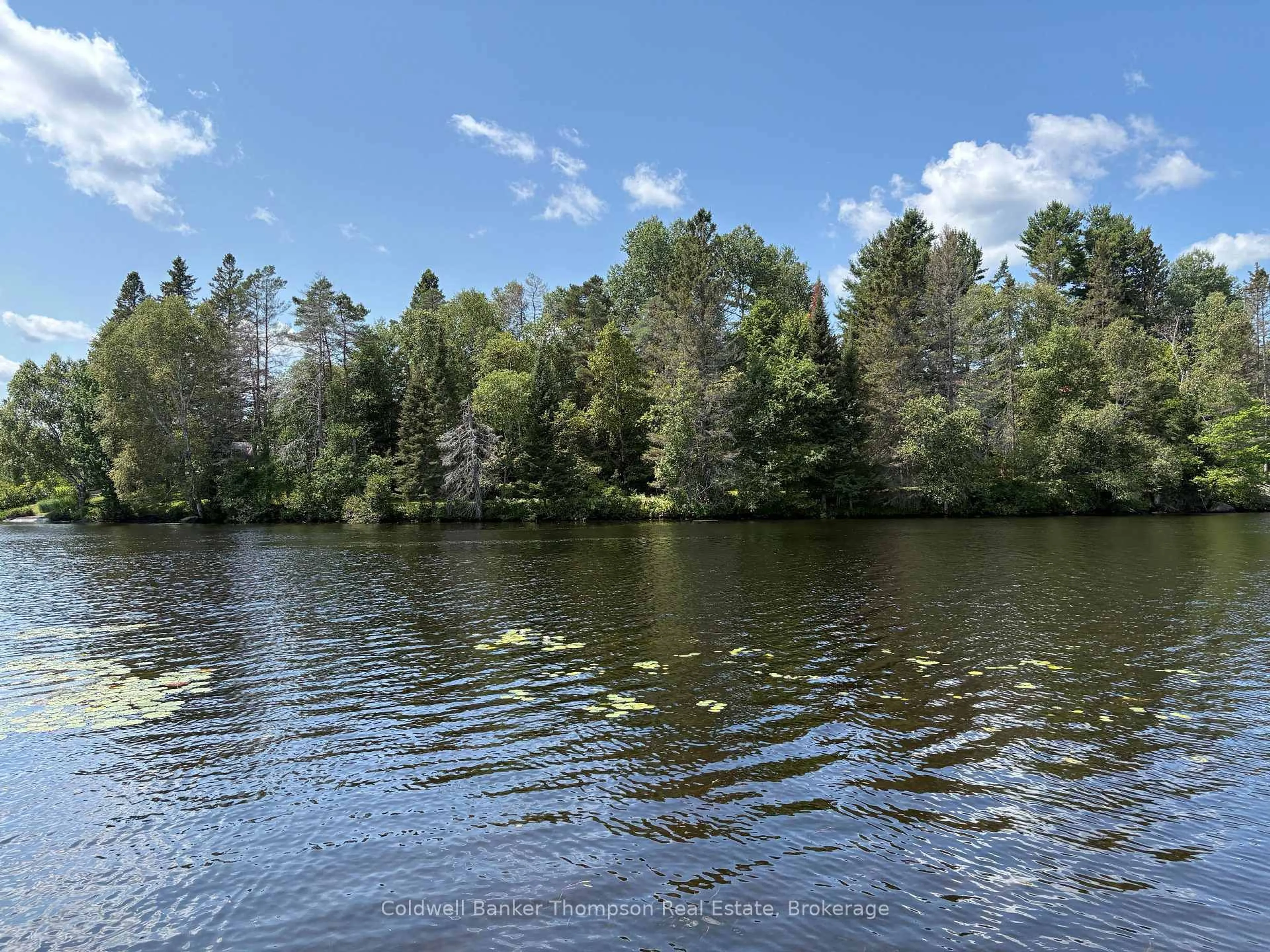 Unknown for 109 Patrick St, Magnetawan Ontario P0A 1P0