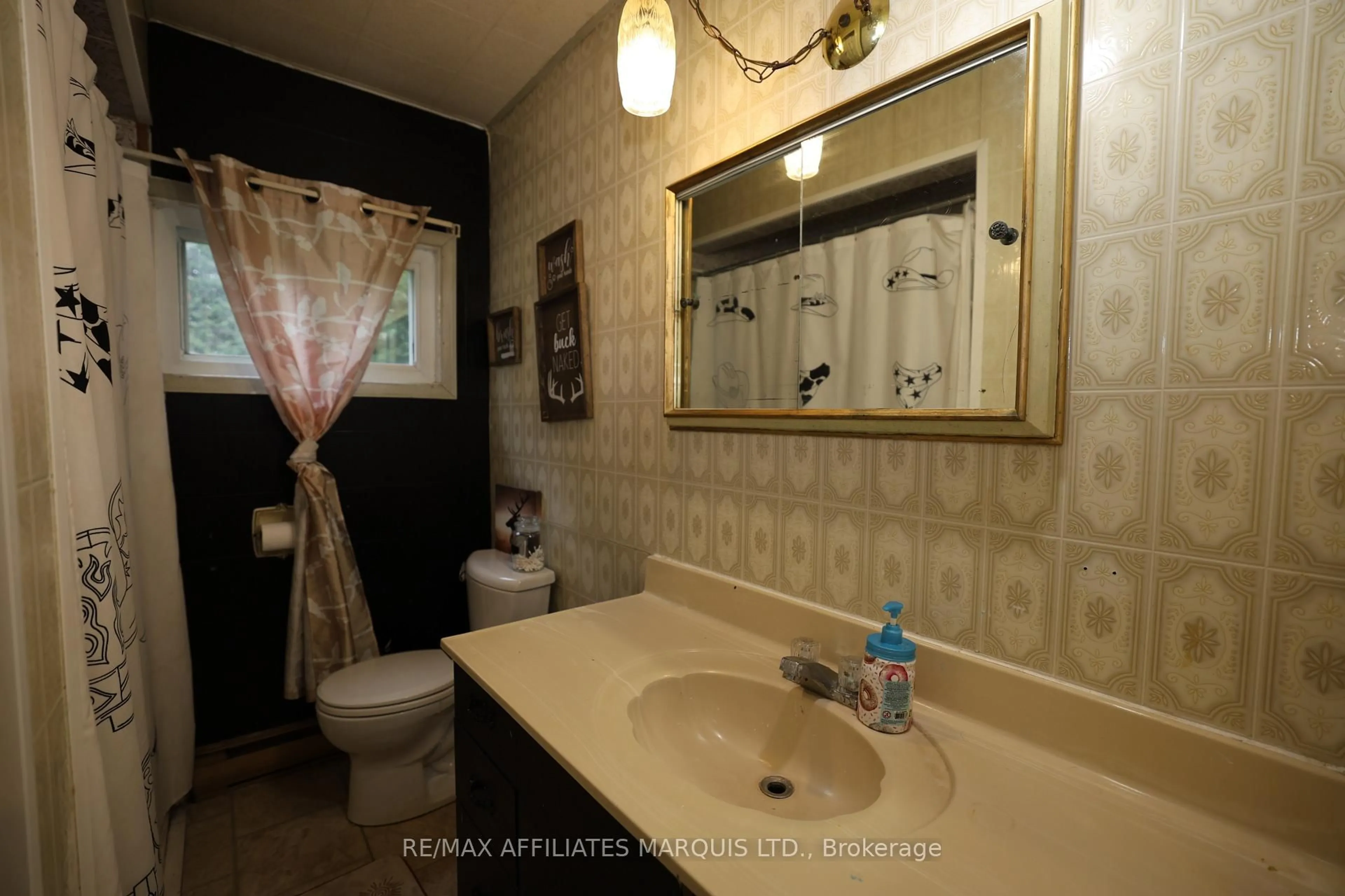 trreb/IMG-X13665274_7f18f81b-ca2c-4efc-b047-e87e420a43b0-l.jpg
