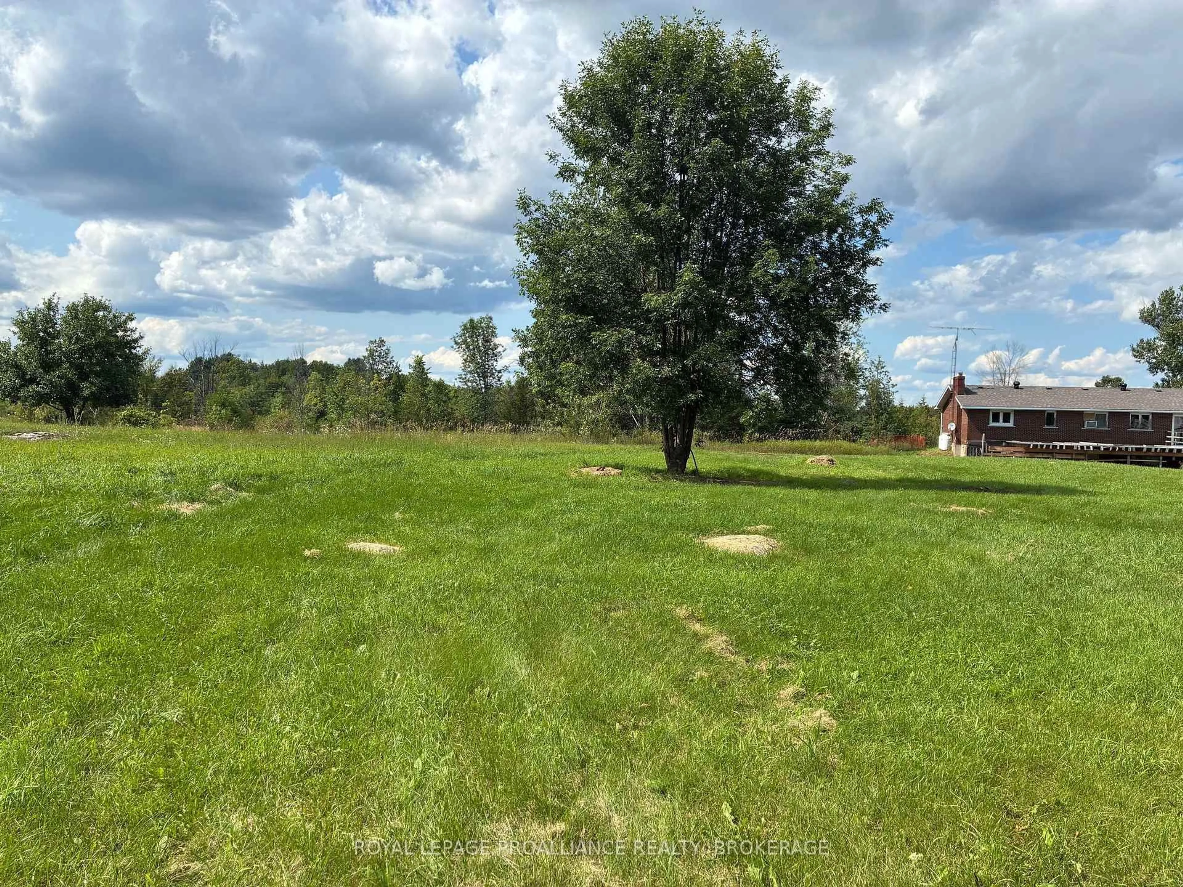 A pic from outside/outdoor area/front of a property/back of a property/a pic from drone, forest/trees view for 164 Jackson Rd, Kaladar Ontario K0K 1Z0