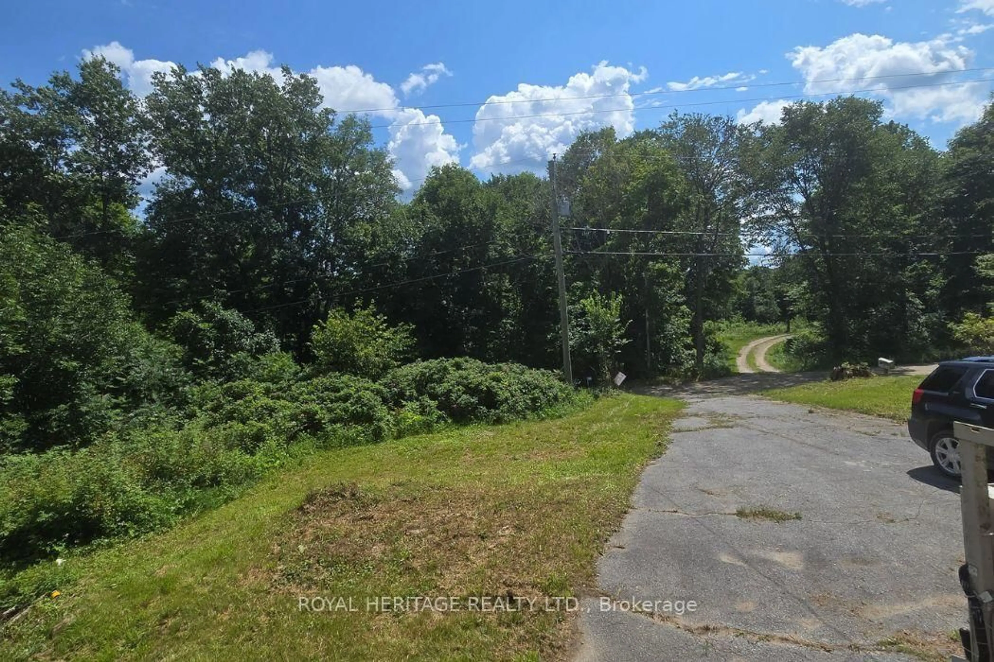A pic from outside/outdoor area/front of a property/back of a property/a pic from drone, forest/trees view for 1590 Elm Tree Rd, Central Frontenac Ontario K0H 0B6