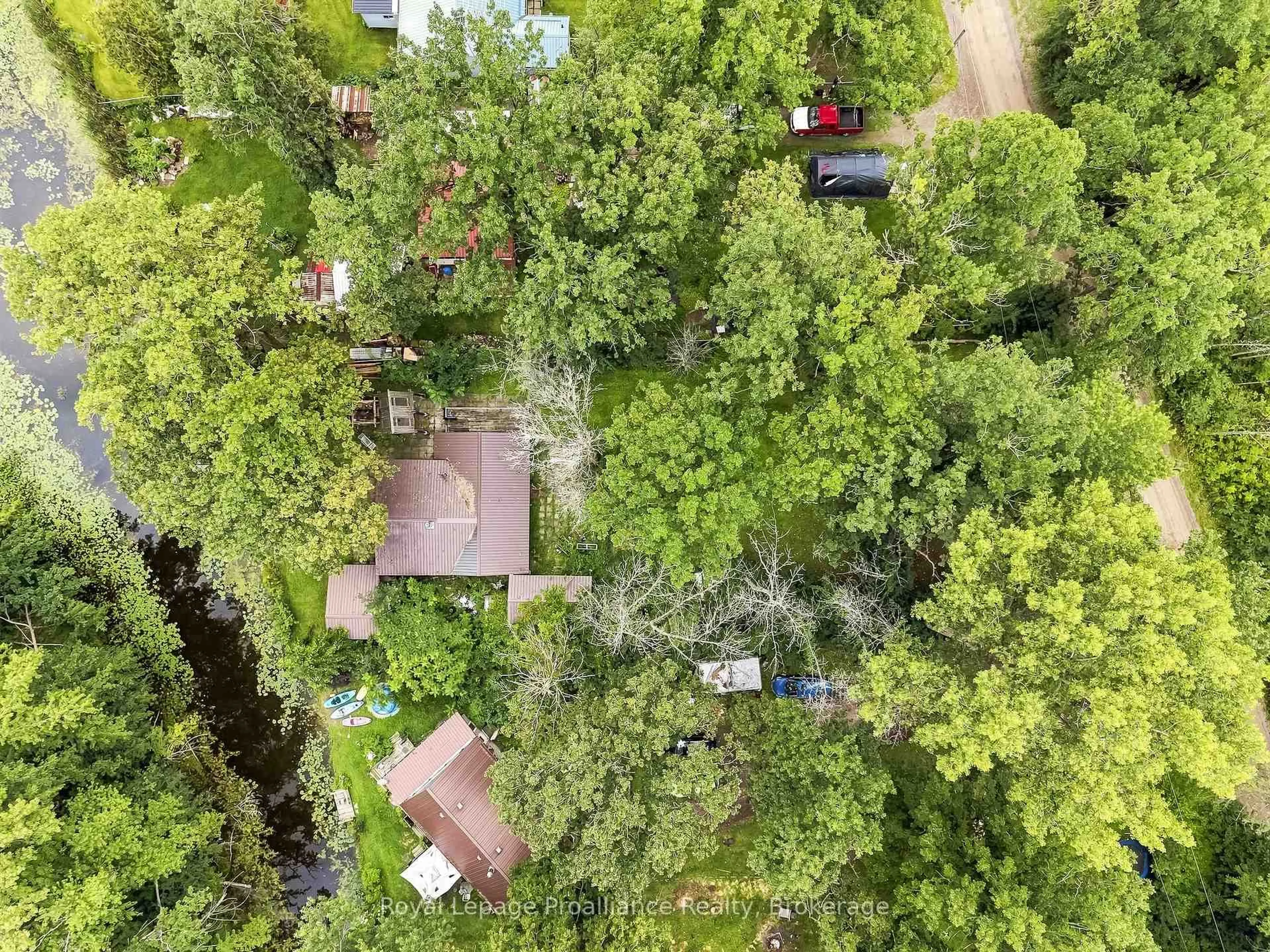 A pic from outside/outdoor area/front of a property/back of a property/a pic from drone, forest/trees view for 43 Laguna Rd, Trent Hills Ontario K0L 1L0