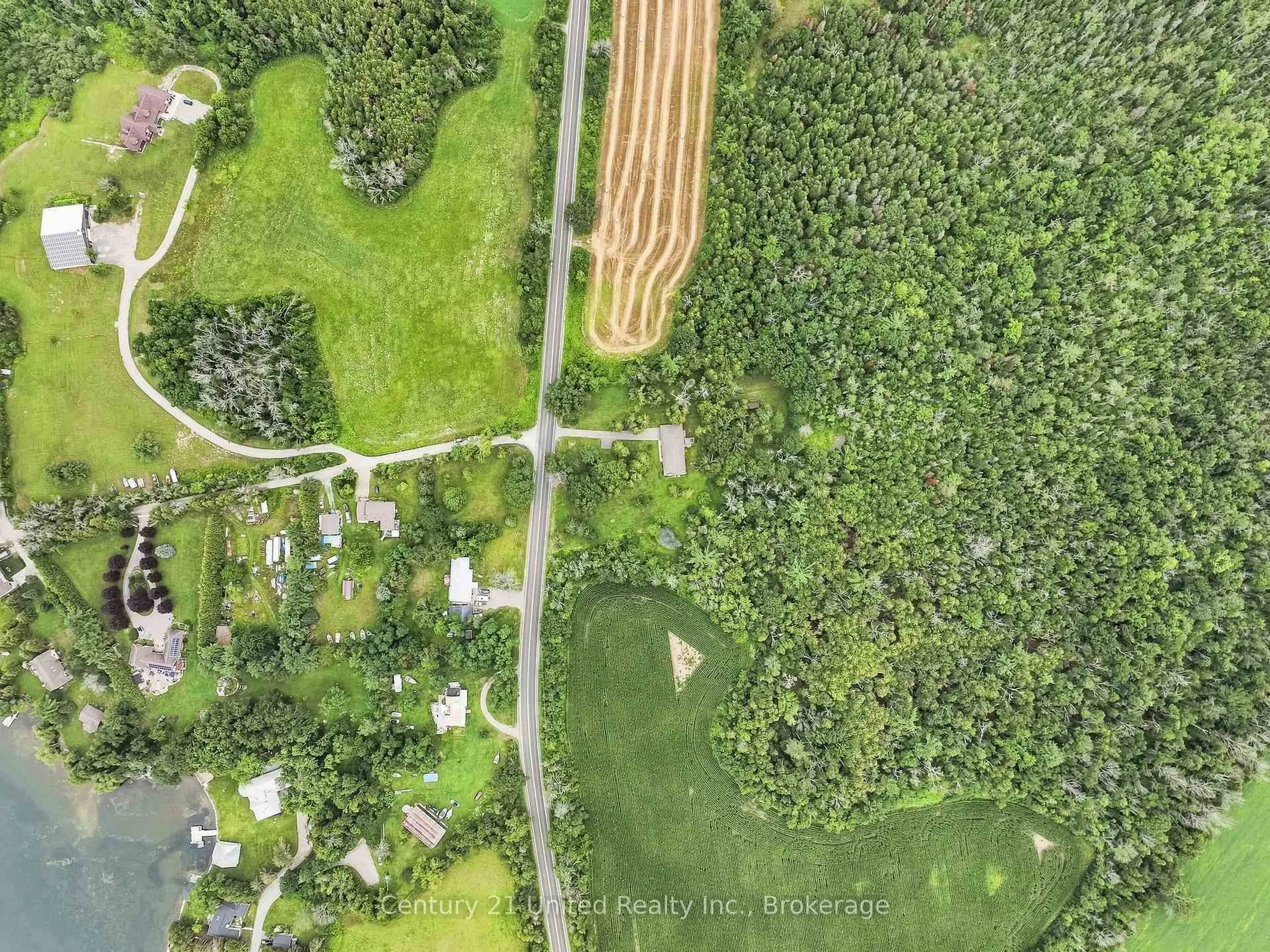 A pic from outside/outdoor area/front of a property/back of a property/a pic from drone, forest/trees view for 1563 Selwyn Rd, Selwyn Ontario K9J 6X5