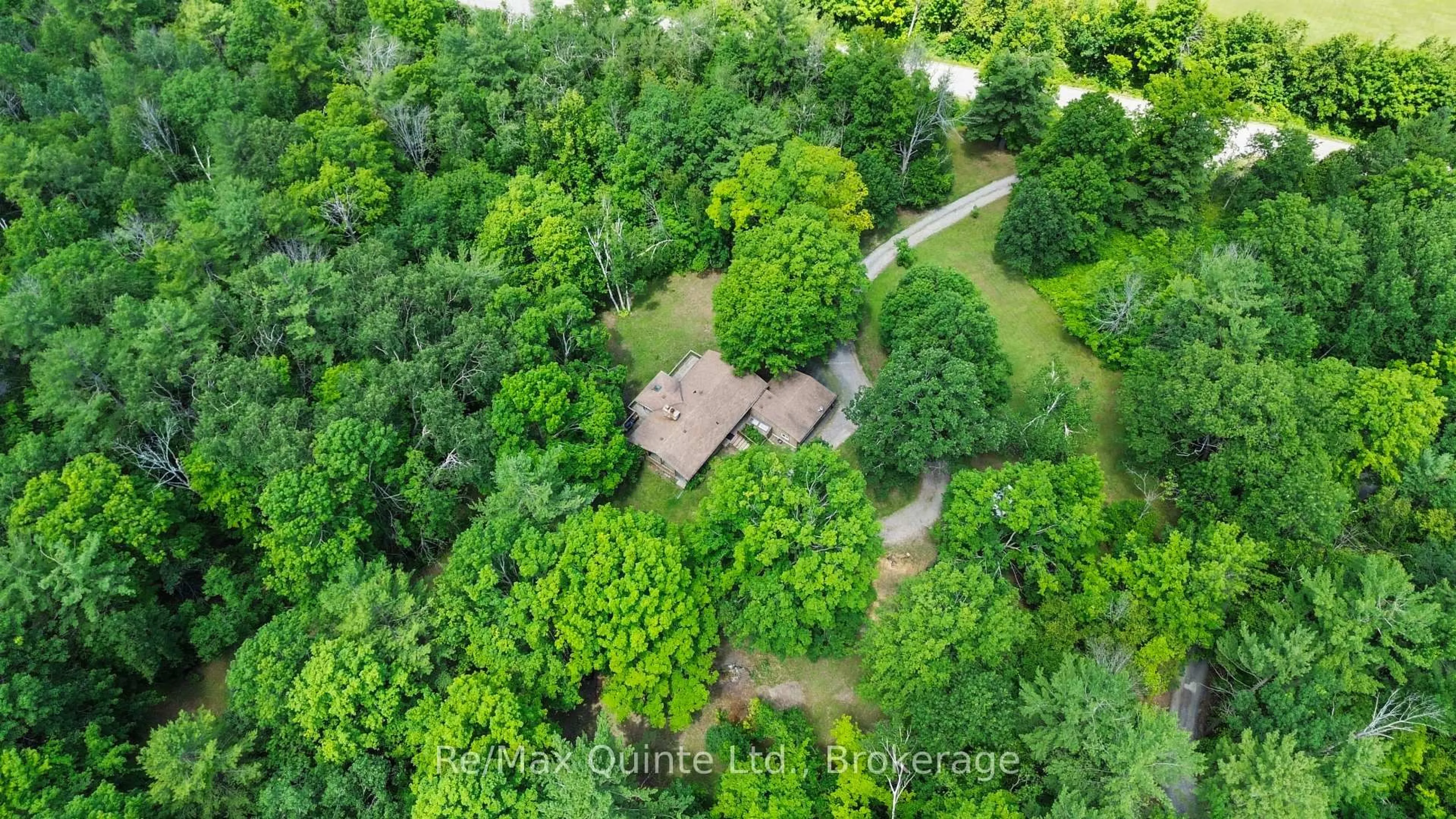 A pic from outside/outdoor area/front of a property/back of a property/a pic from drone, forest/trees view for 35 Concession Road 11 Rd, Trent Hills Ontario K0L 1Y0