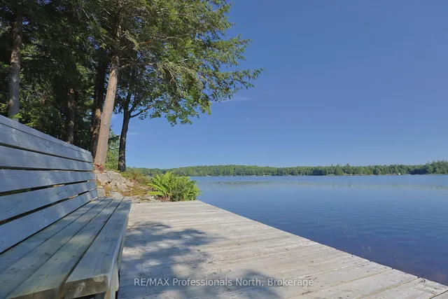 1365 Dickie Lake Rd, Lake of Bays 2