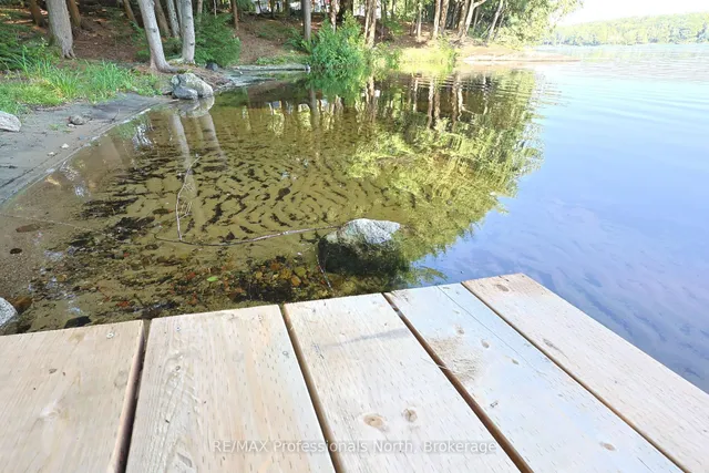 1365 Dickie Lake Rd, Lake of Bays 4