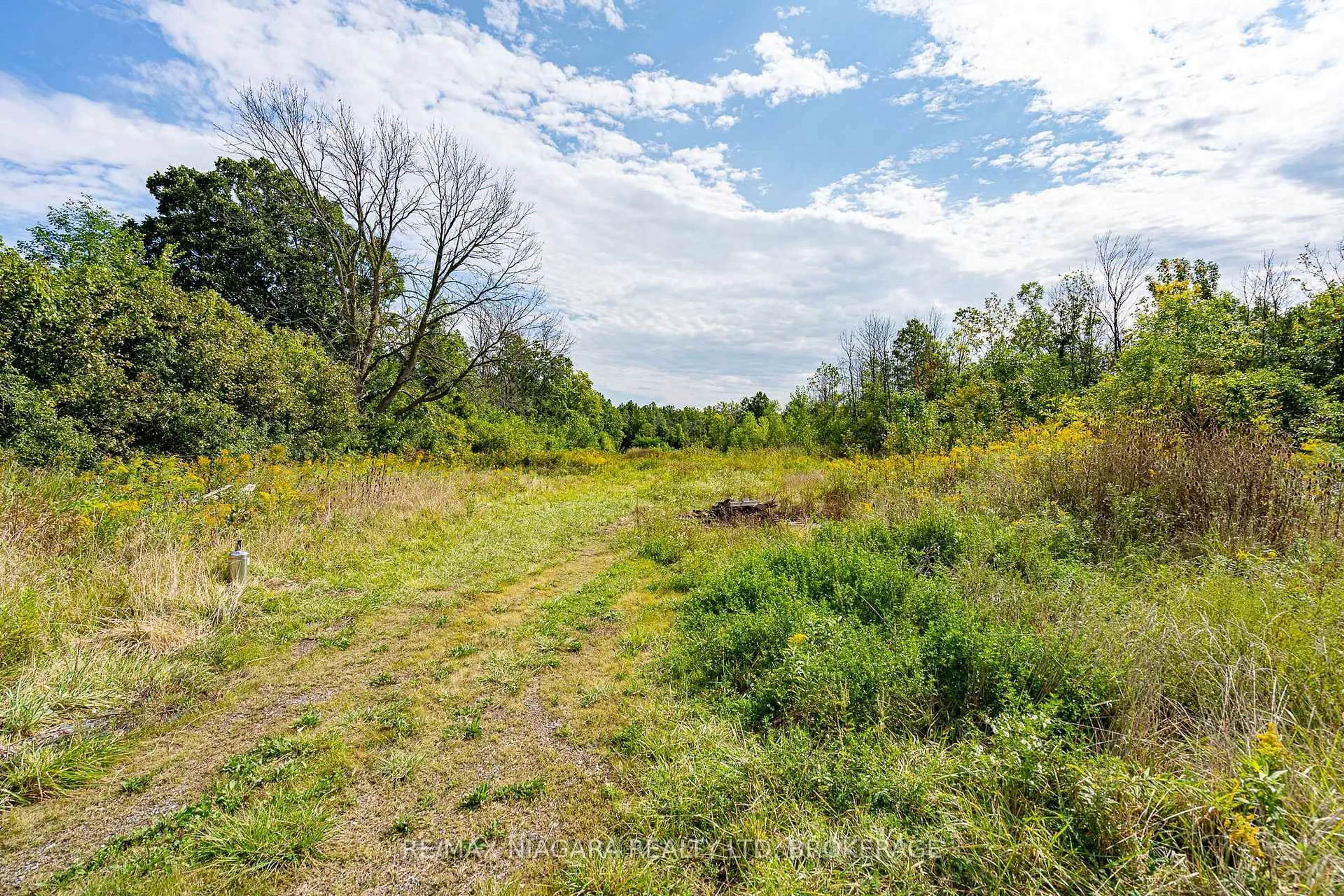 A pic from outside/outdoor area/front of a property/back of a property/a pic from drone, forest/trees view for 487 Four Mile Creek Rd, Niagara-on-the-Lake Ontario L0S 1J0