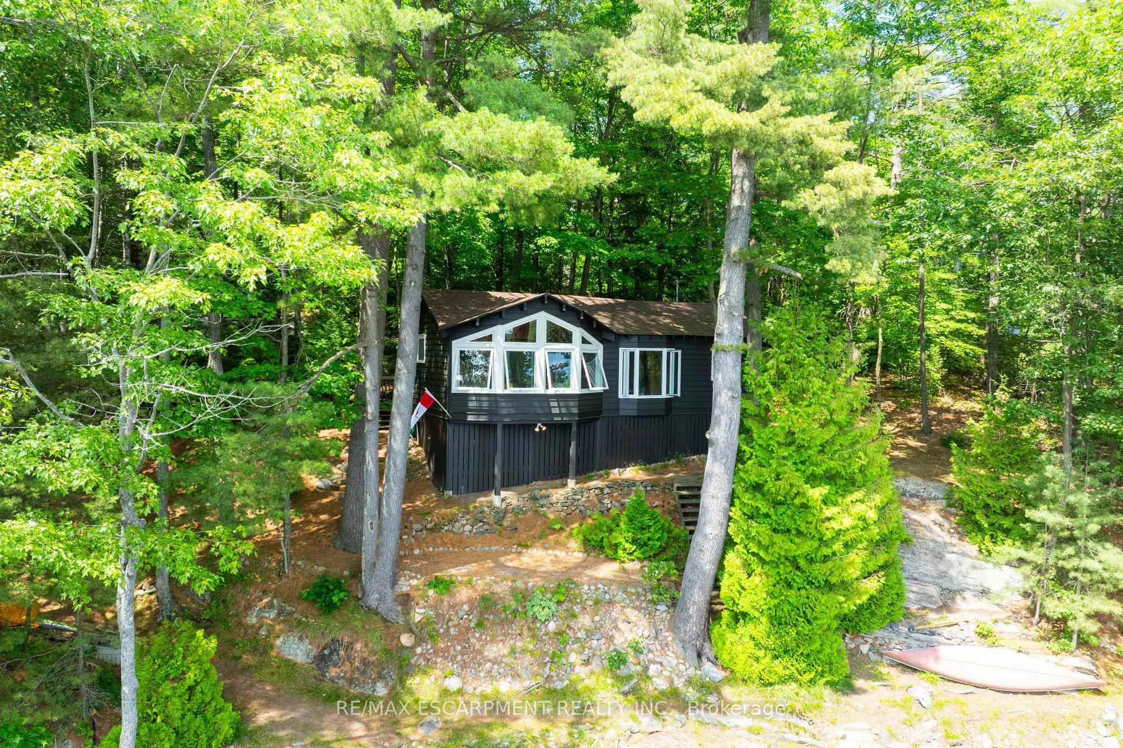 A pic from outside/outdoor area/front of a property/back of a property/a pic from drone, forest/trees view for 1009 Fogo St, Muskoka Lakes Ontario P0C 1H0
