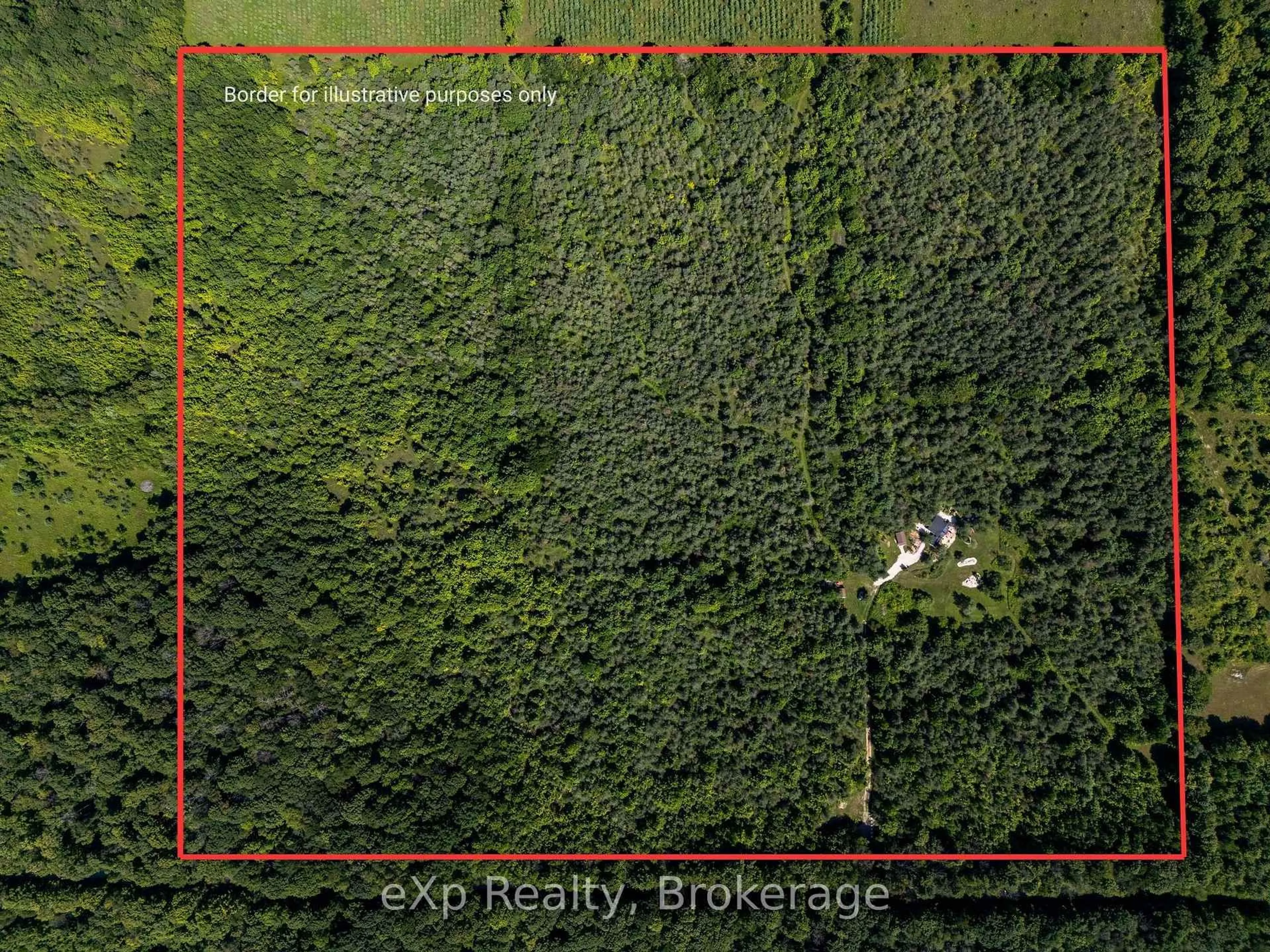 A pic from outside/outdoor area/front of a property/back of a property/a pic from drone, forest/trees view for 174745 Mulock Rd, West Grey Ontario N0G 1S0