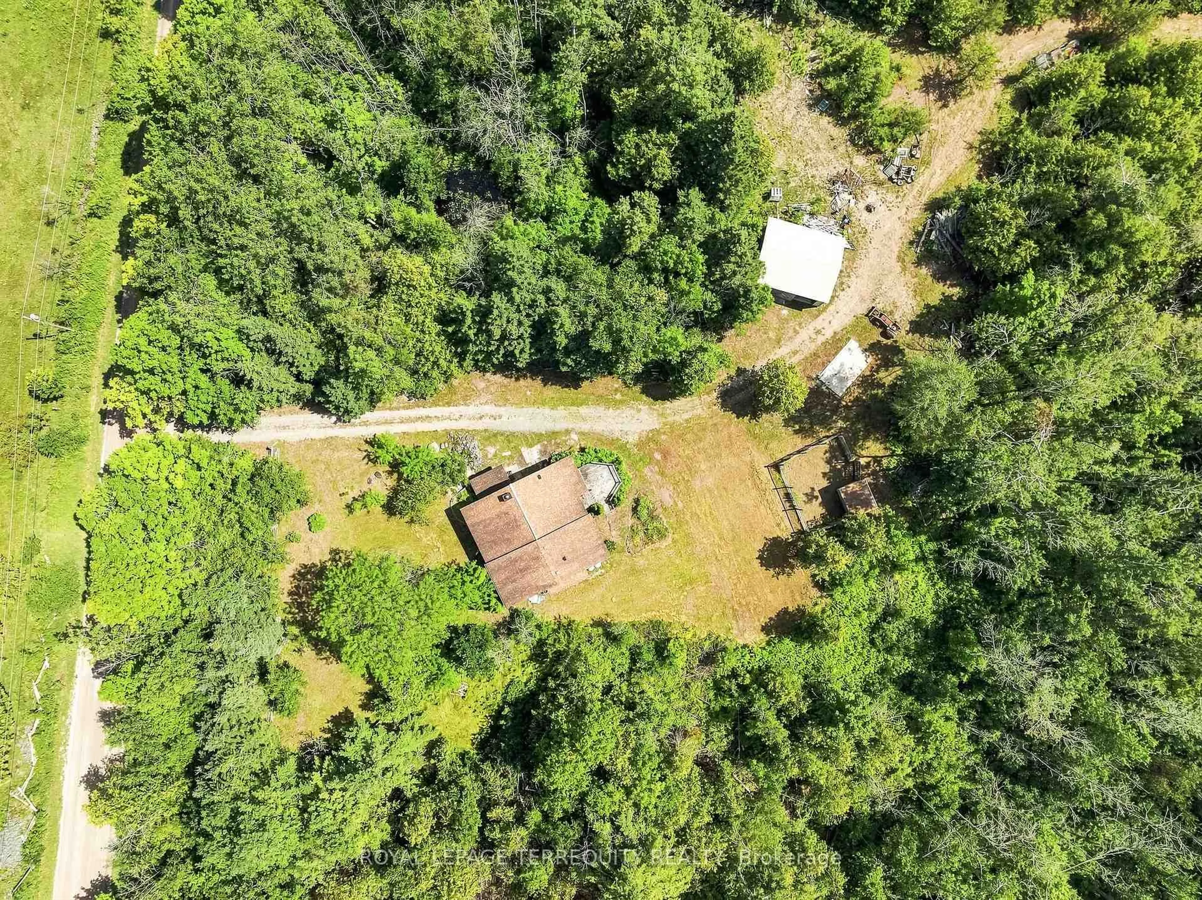 A pic from outside/outdoor area/front of a property/back of a property/a pic from drone, forest/trees view for 403 Concession Rd 12 E, Trent Hills Ontario K0L 1Y0