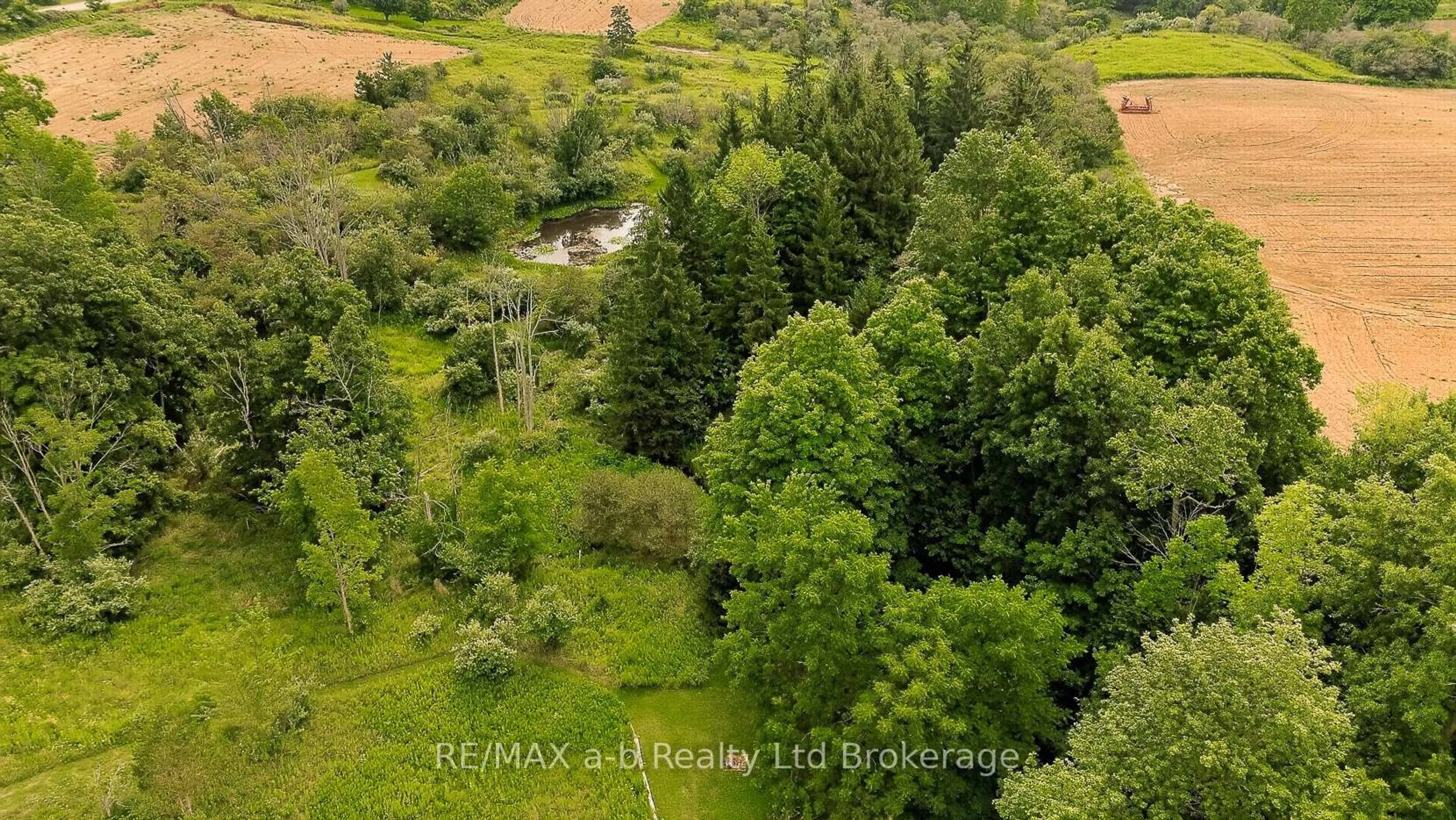 A pic from outside/outdoor area/front of a property/back of a property/a pic from drone, forest/trees view for 8827 Prince St, Dutton/Dunwich Ontario N0L 1P0