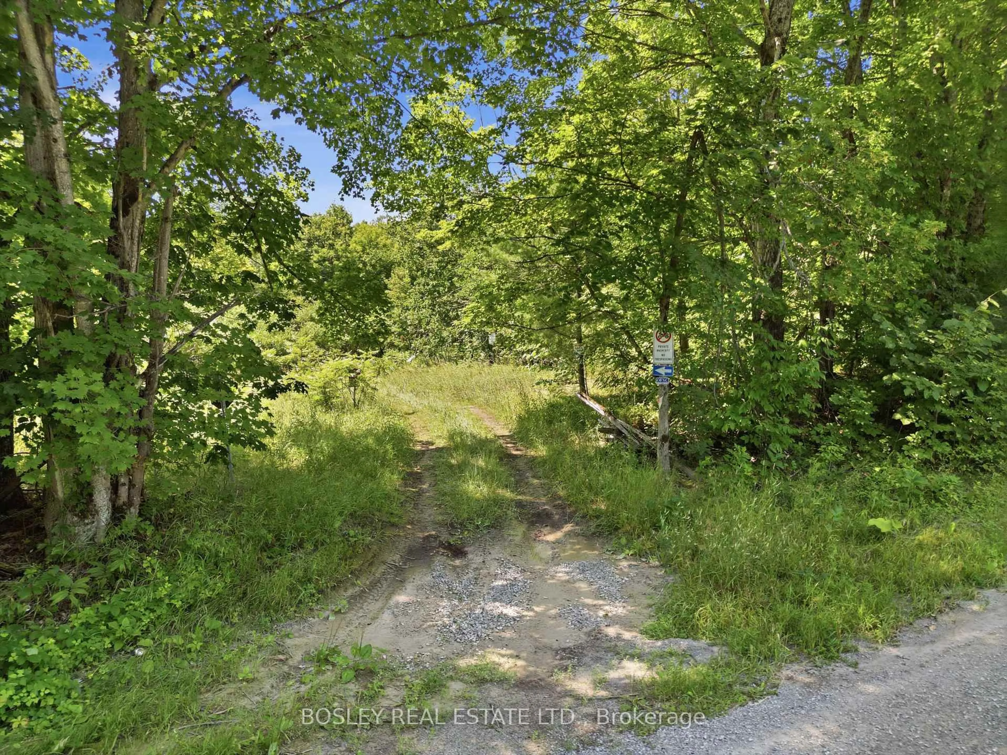 A pic from outside/outdoor area/front of a property/back of a property/a pic from drone, forest/trees view for 11 Buttermilk Lane, Limoges Ontario K0K 2M0