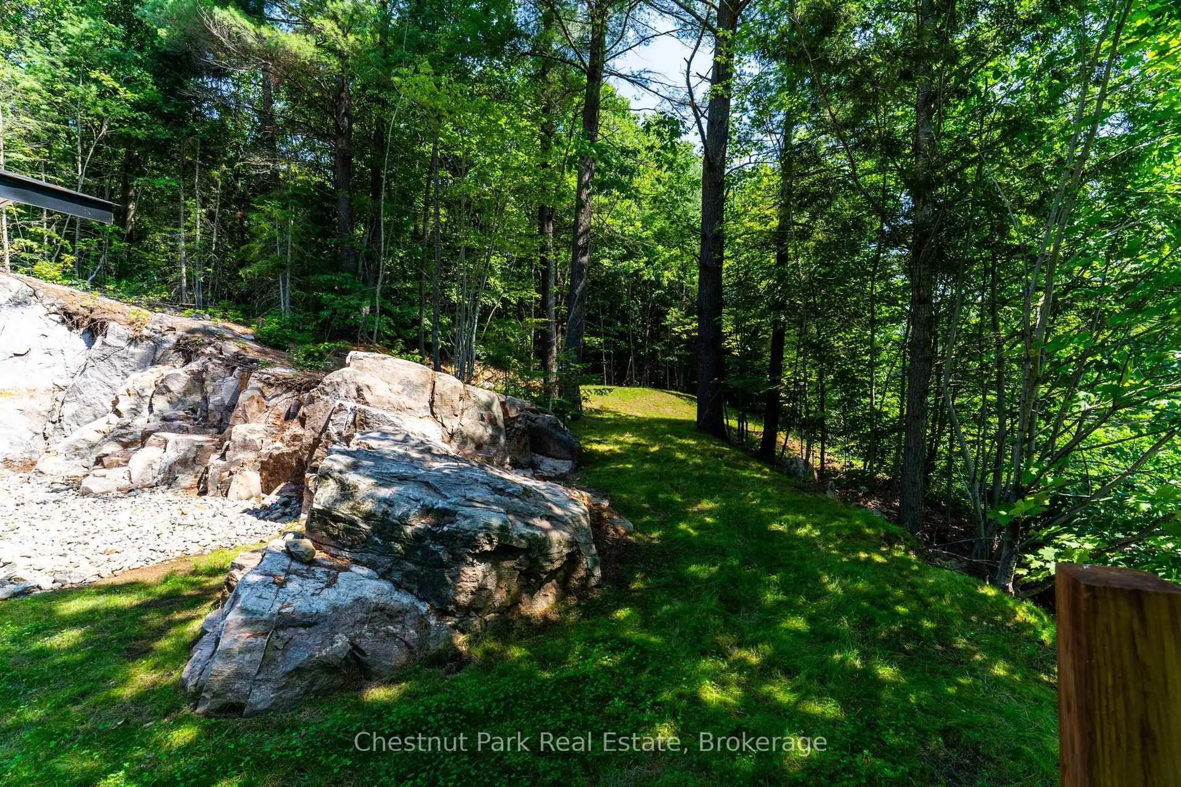 A pic from outside/outdoor area/front of a property/back of a property/a pic from drone, forest/trees view for 1510 Highway 141, Huntsville Ontario P0B 1M0