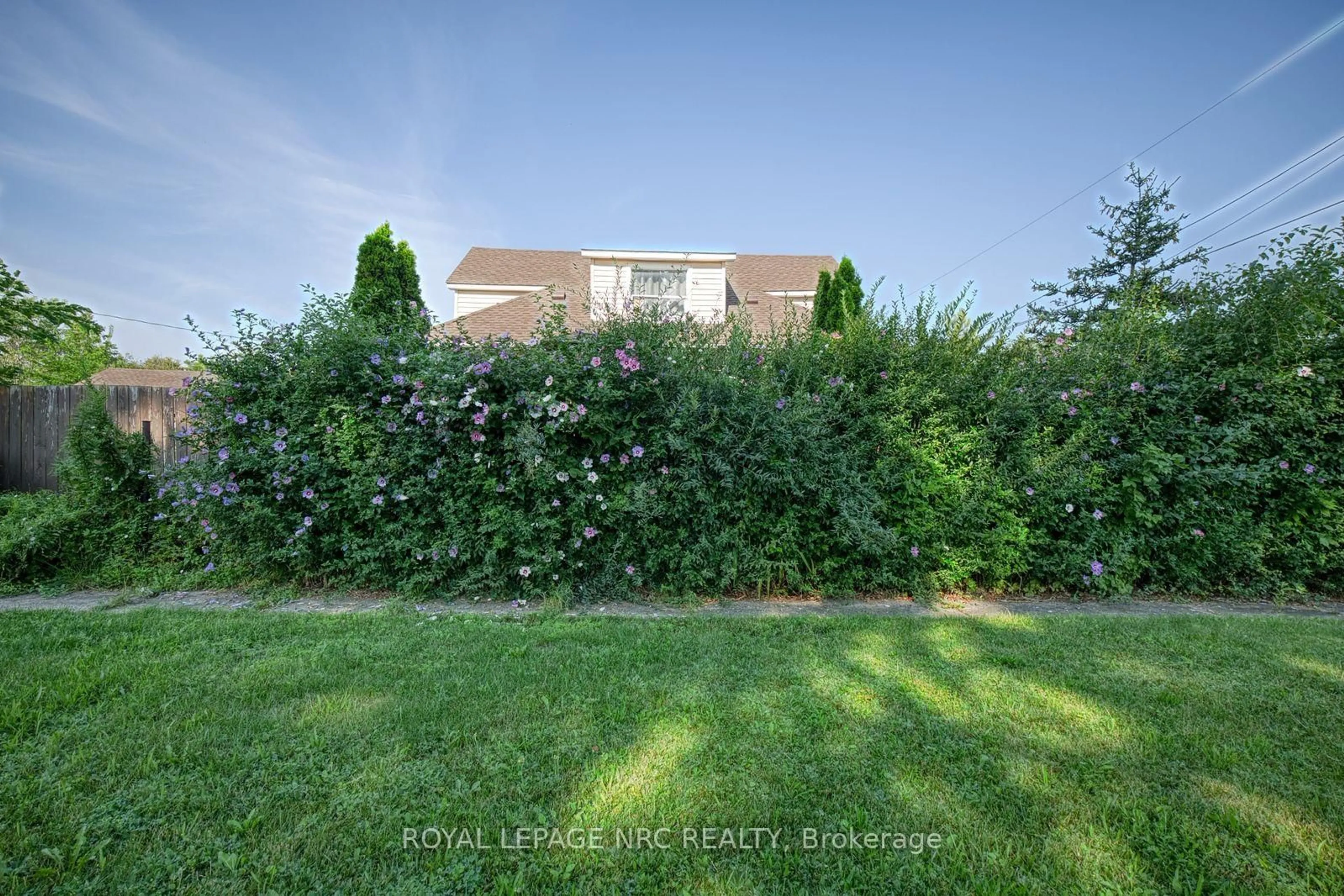 A pic from outside/outdoor area/front of a property/back of a property/a pic from drone, forest/trees view for 242 Henrietta St, Fort Erie Ontario L2A 2K7