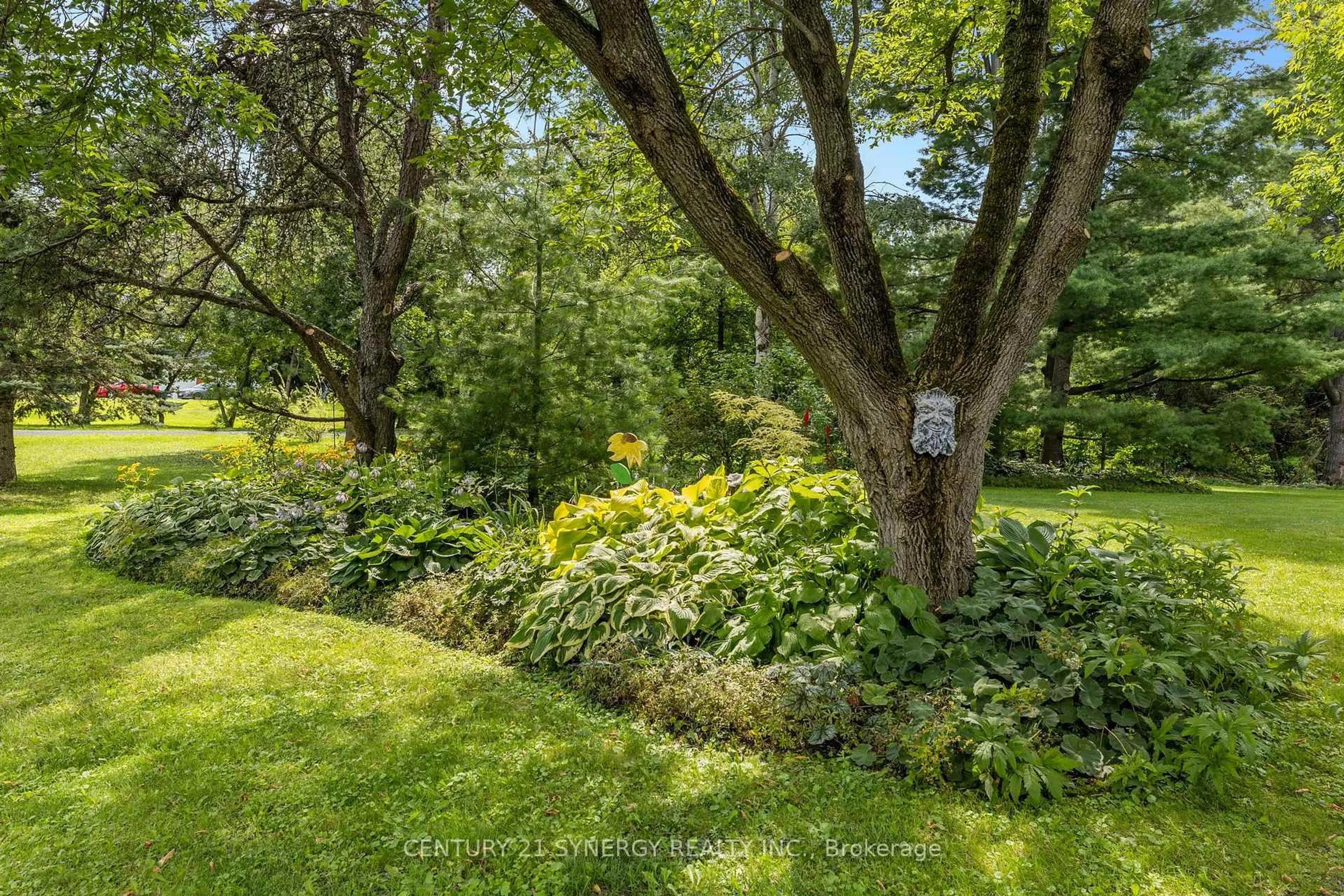 Patio, forest/trees view for 955 Du Castor Rd, The Nation Ontario K0A 3C0