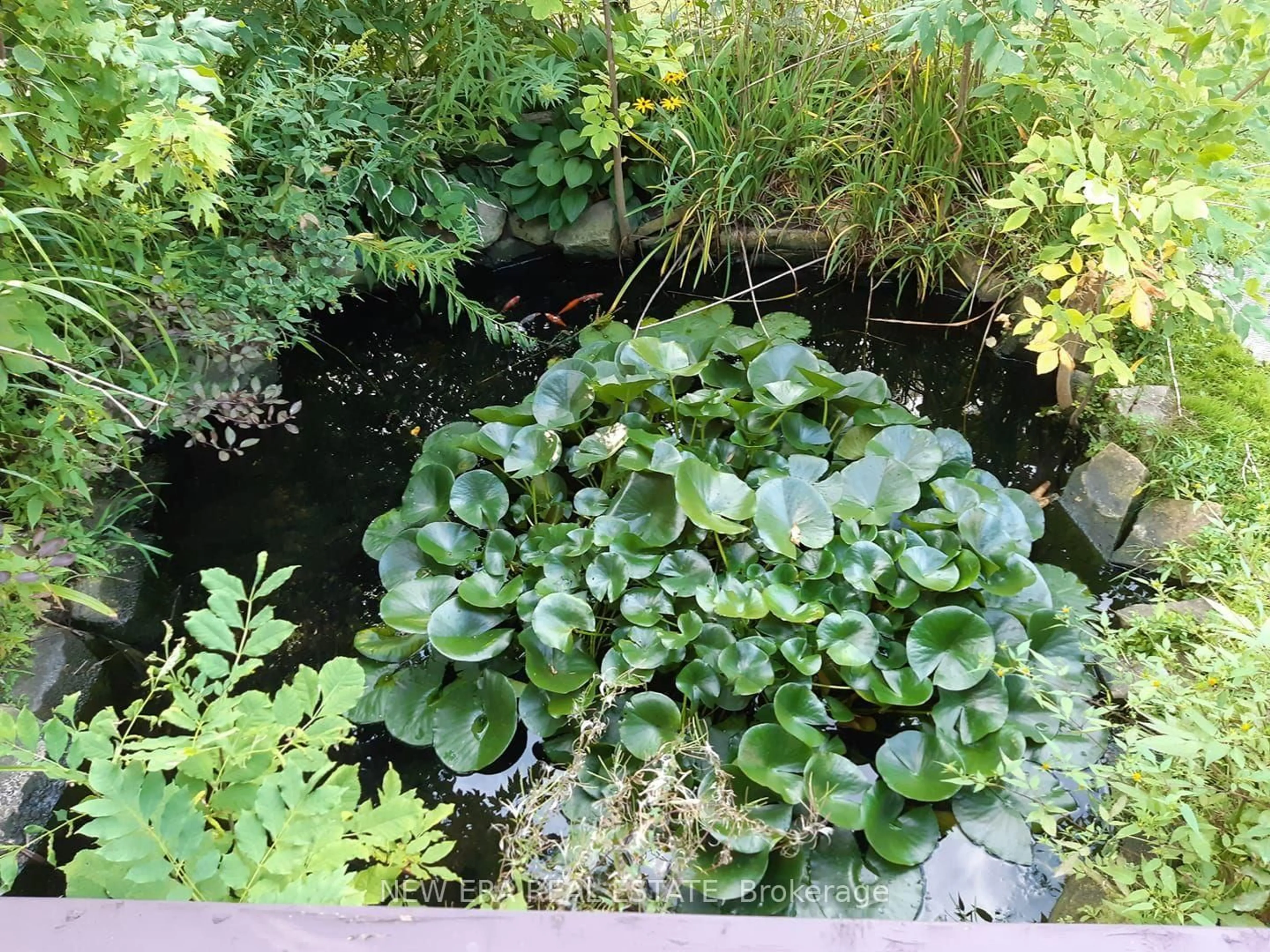 A pic from outside/outdoor area/front of a property/back of a property/a pic from drone, unknown for 2990 Poplar Ave, Fort Erie Ontario L0S 1N0