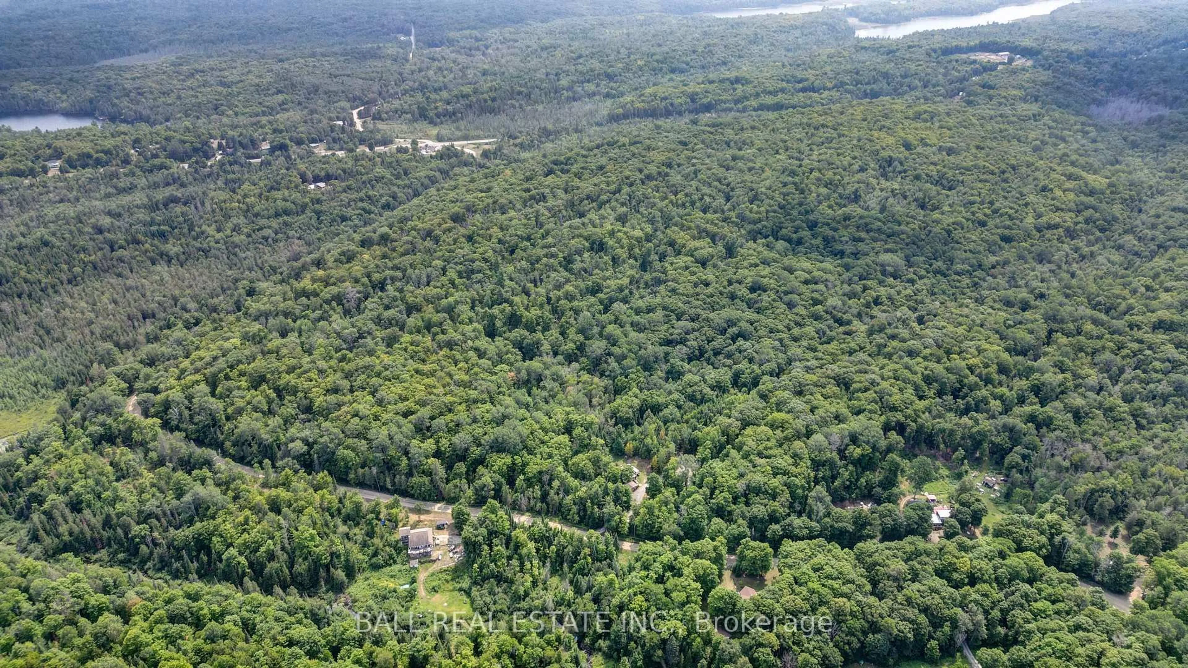 A pic from outside/outdoor area/front of a property/back of a property/a pic from drone, forest/trees view for 2884 Old Hastings Rd, Coe Hill Ontario K0L 1P0