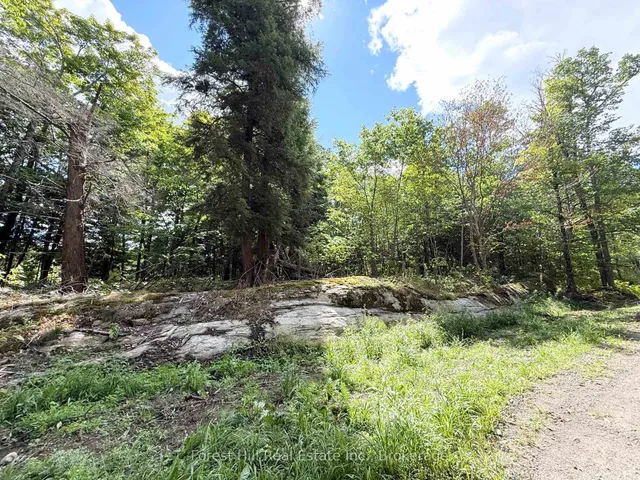 10415 522 Highway, Parry Sound Remote Area 3