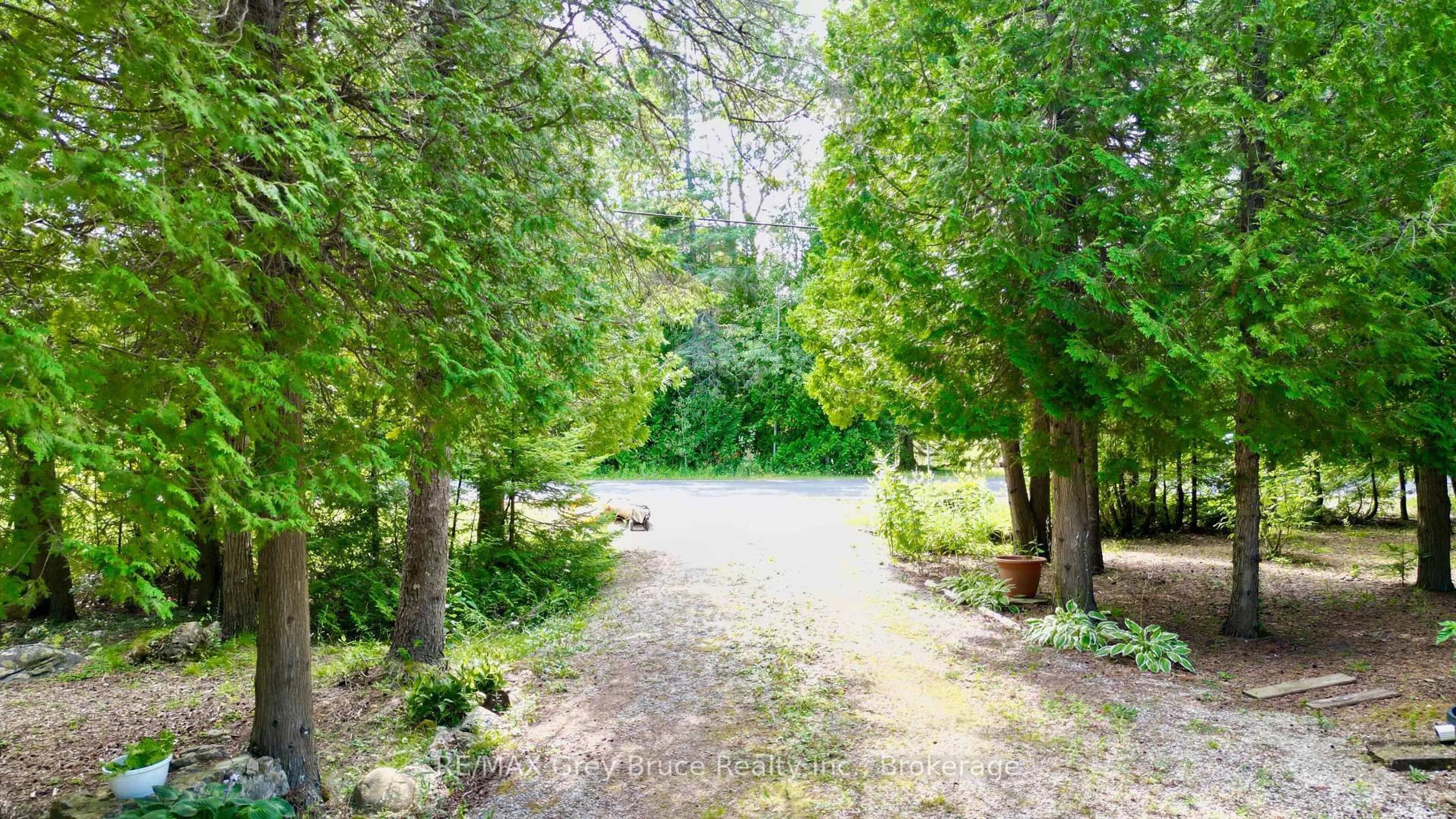 Patio, forest/trees view for 202 Whiskey Harbour Rd, Northern Bruce Peninsula Ontario N0H 1W0