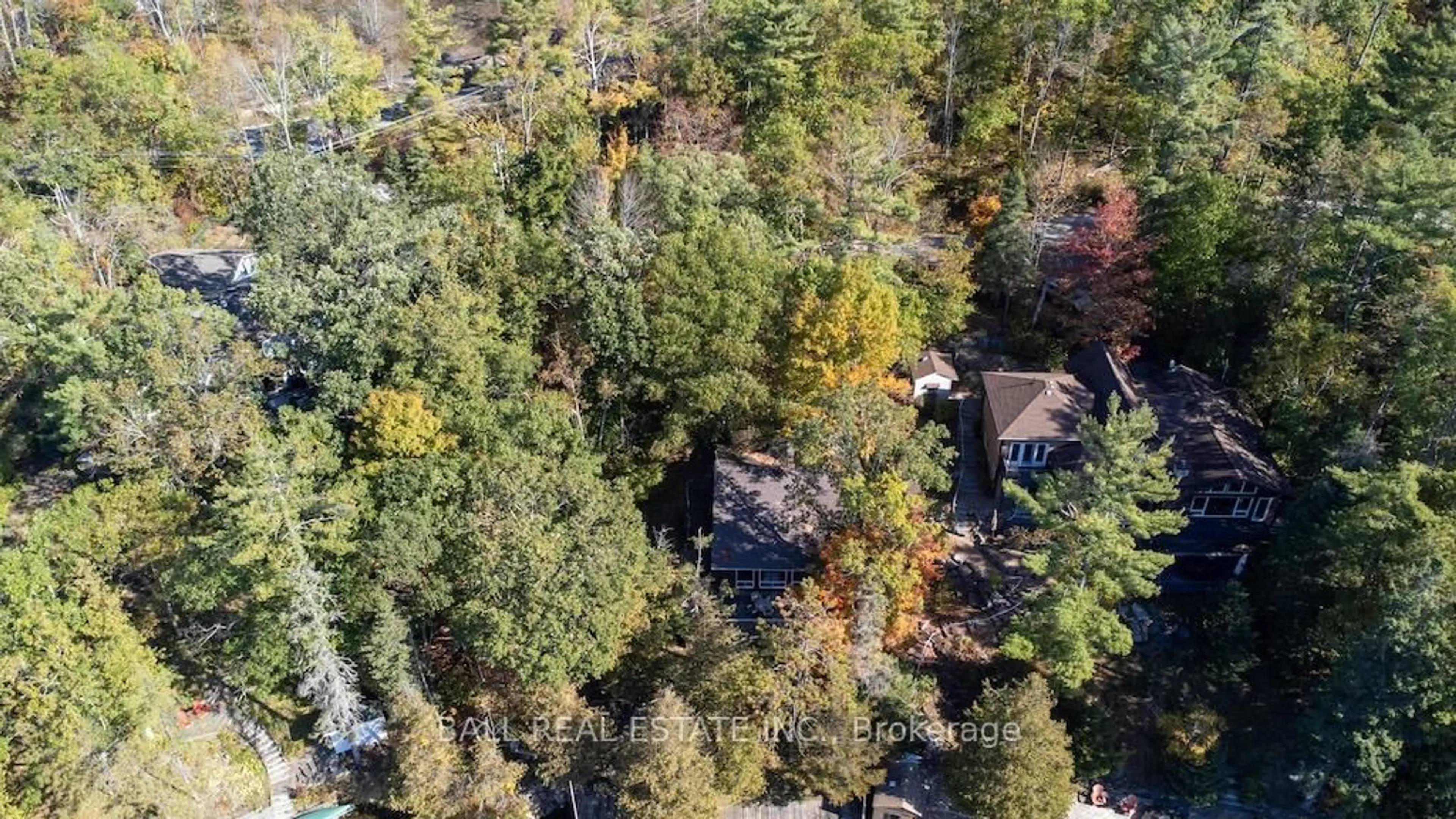 A pic from outside/outdoor area/front of a property/back of a property/a pic from drone, forest/trees view for 12 Bedwell Dr, North Kawartha Ontario K0L 3E0