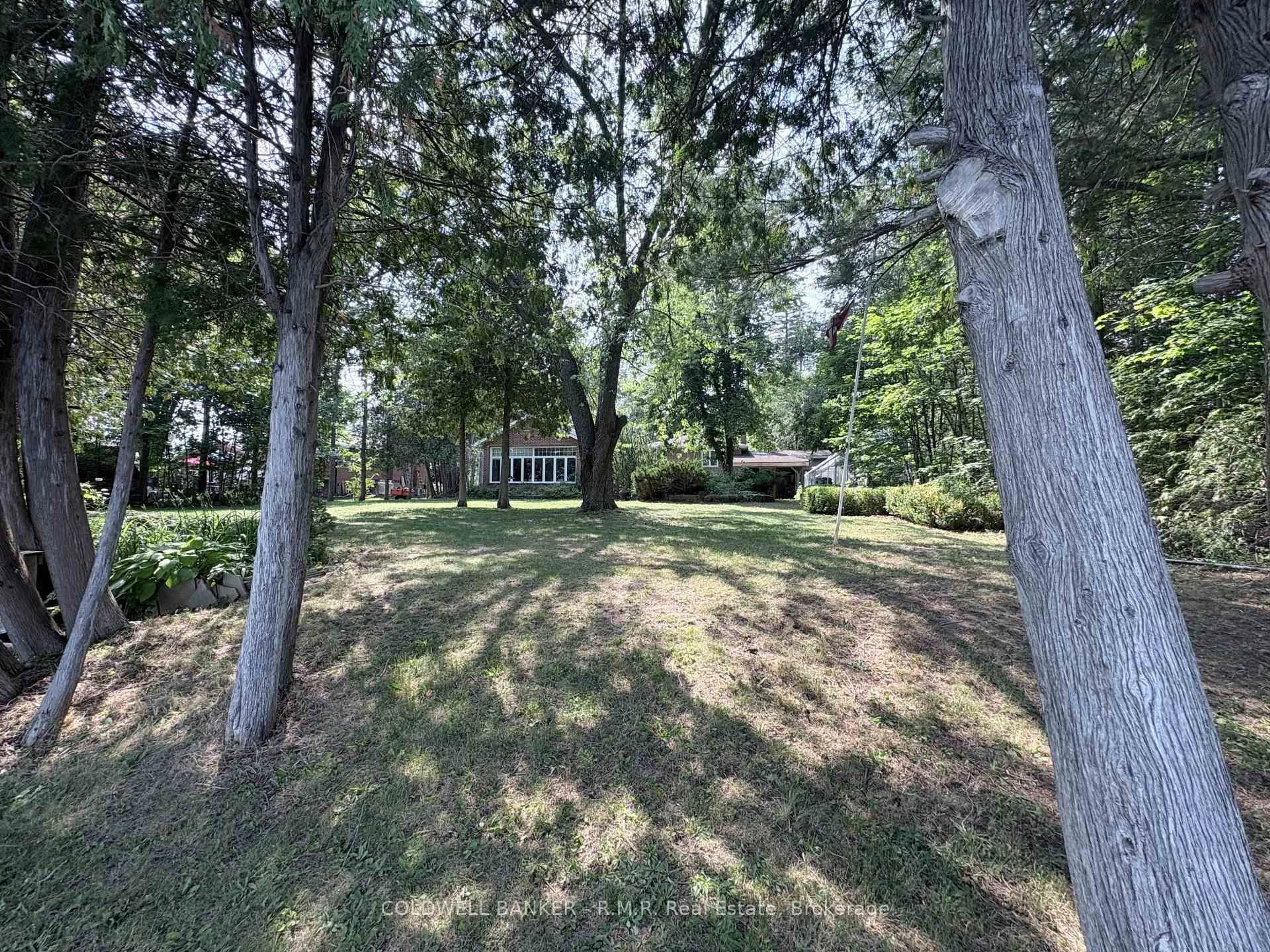 A pic from outside/outdoor area/front of a property/back of a property/a pic from drone, forest/trees view for 60 Pinewood Blvd, Kawartha Lakes Ontario K0M 2T0