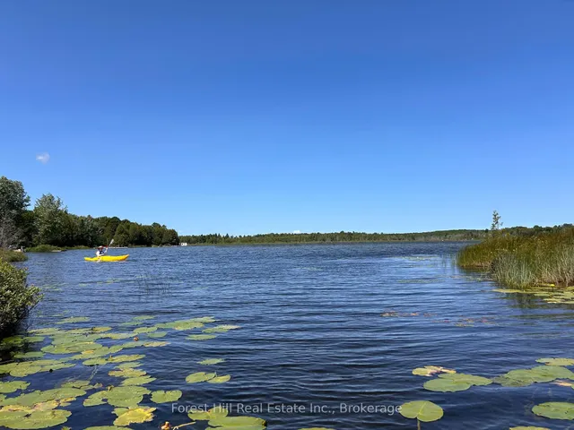 523583 12 Concession, West Grey 4