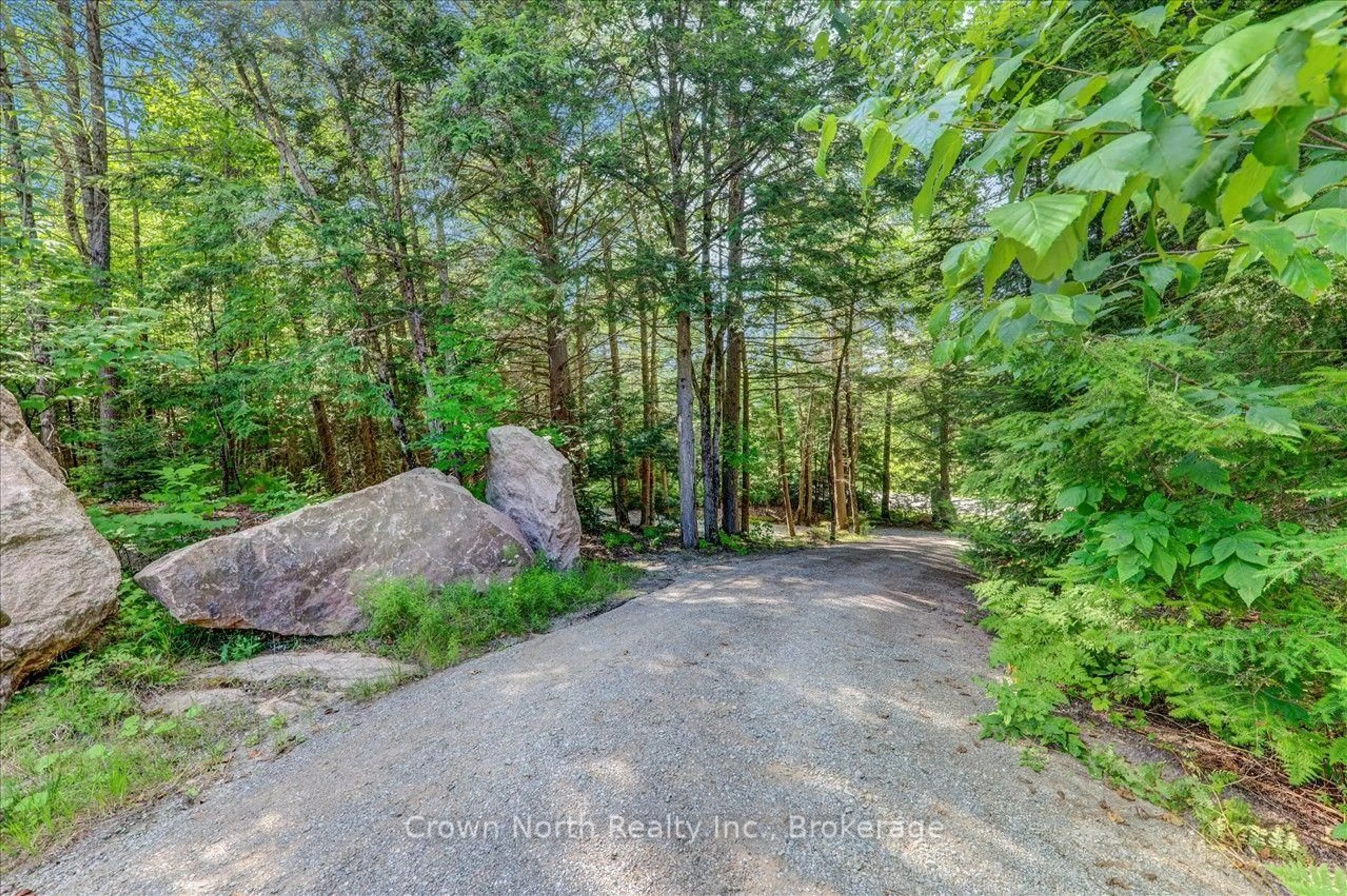 A pic from outside/outdoor area/front of a property/back of a property/a pic from drone, forest/trees view for 119 Gazelle Tr, North Kawartha Ontario K0L 1A0