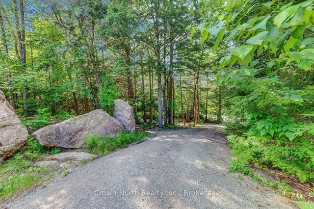 119 Gazelle Tr, North Kawartha 3